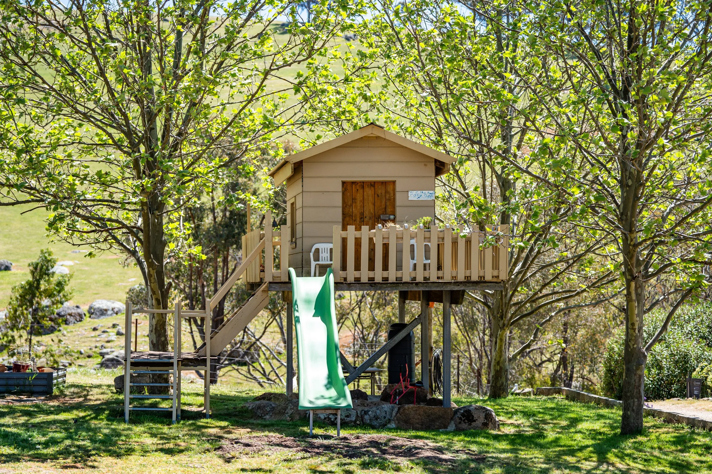 tree house.jpg