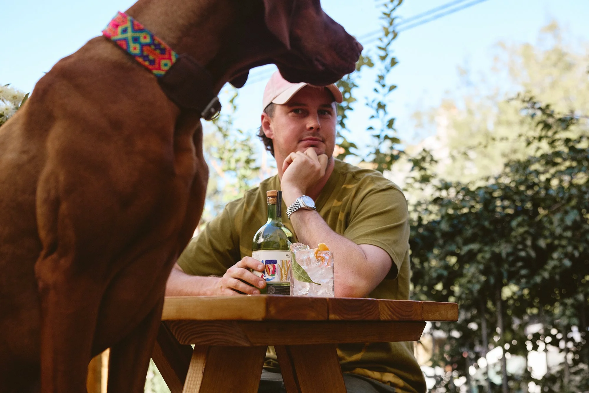 SEPTEMBER-STUDIOS-GIN-ARCHIE-ROSE-CREATOR-SERIES-BRYCE-WITH-DOG-G&T-LO-RES.jpg
