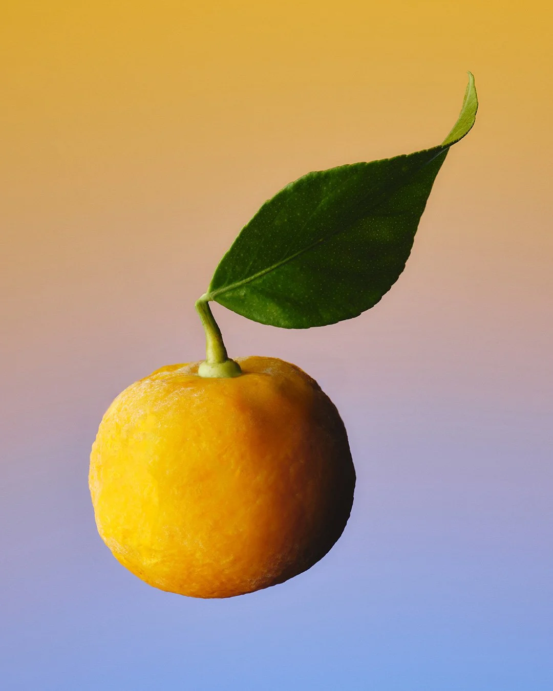 MOUNTAIN-YUZU-PRODUCT-PAGE.jpg