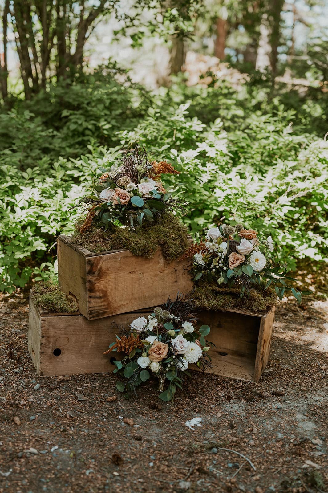 Maggie Grace Photography