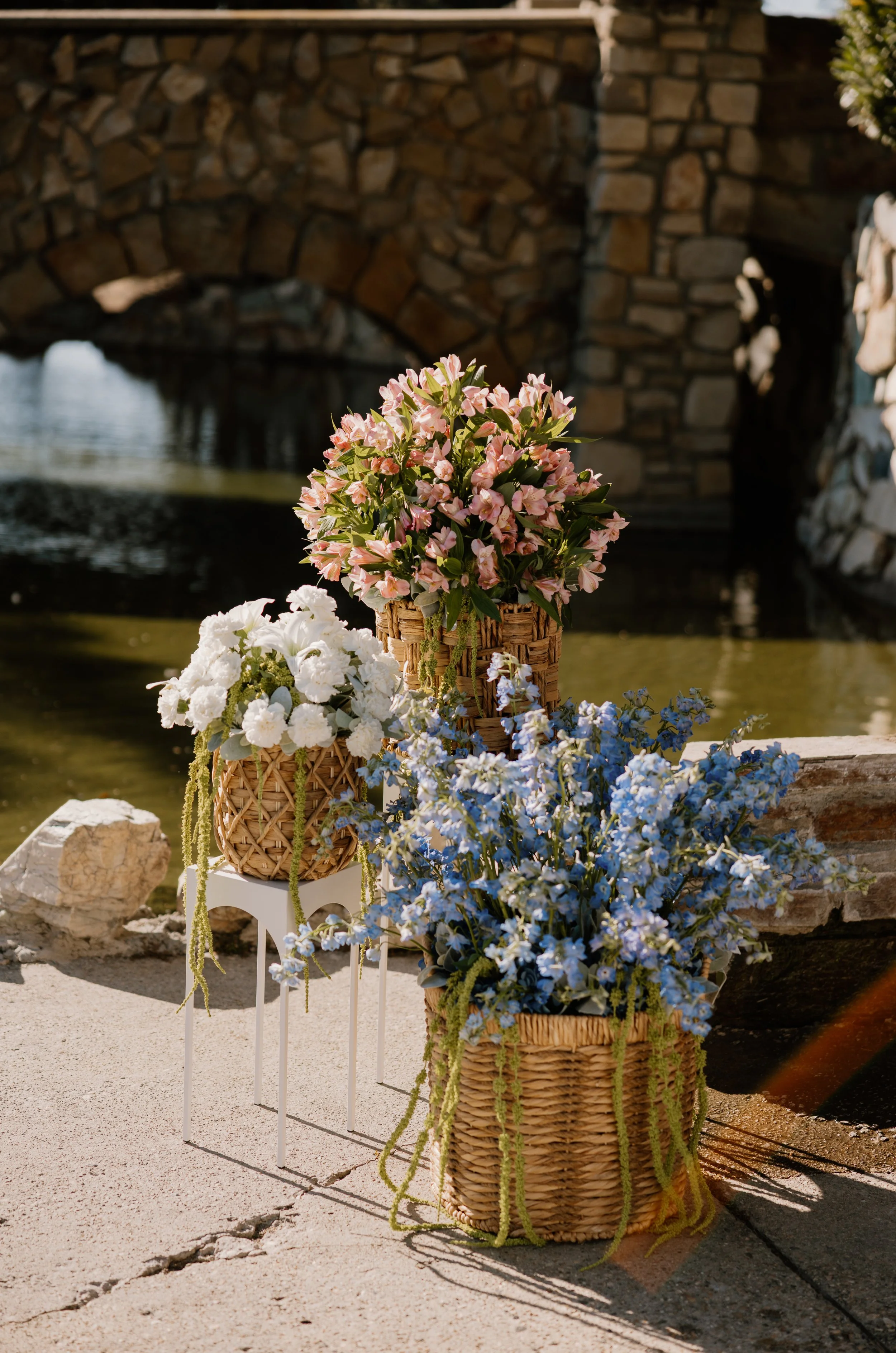 Nicole Catherine Photos