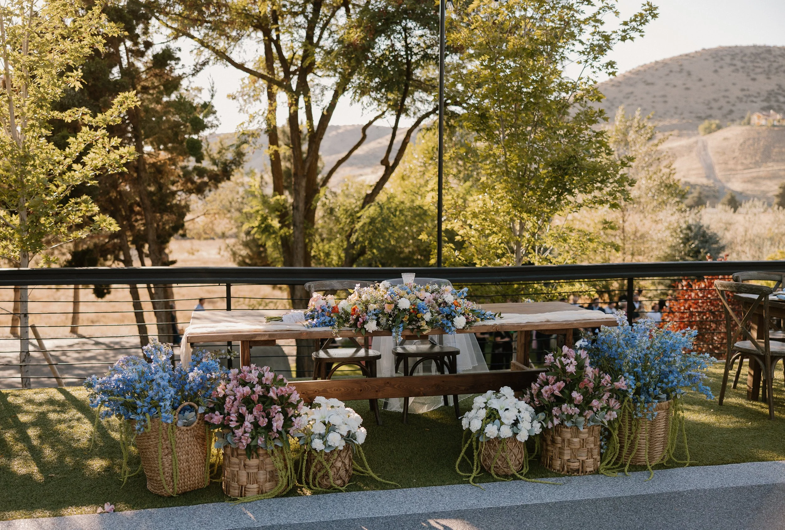 Nicole Catherine Photography