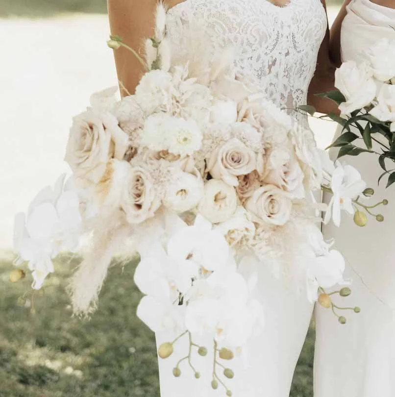 Photographer Unknown