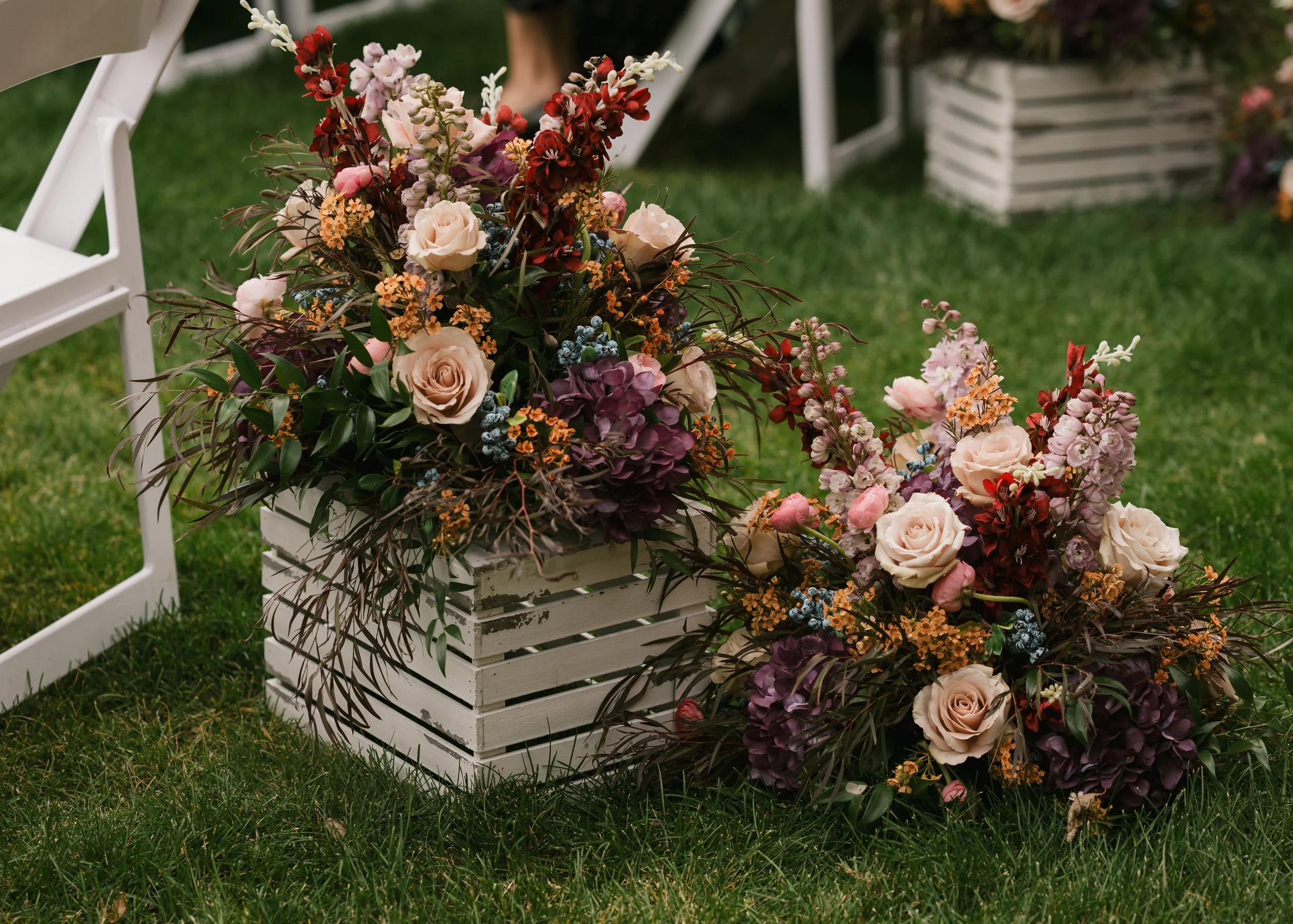 Ultraviolet Photography