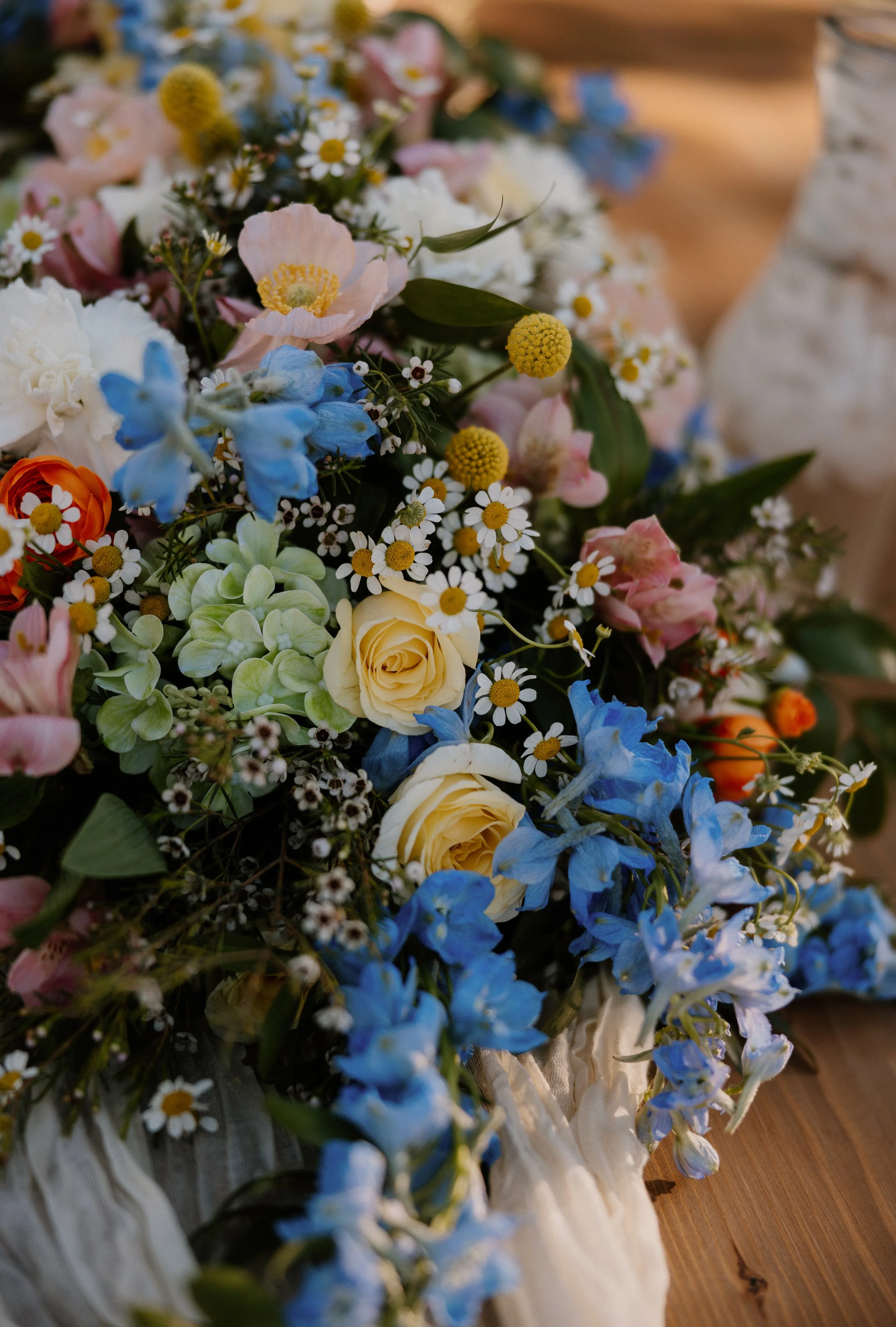 Nicole Catherine Photography