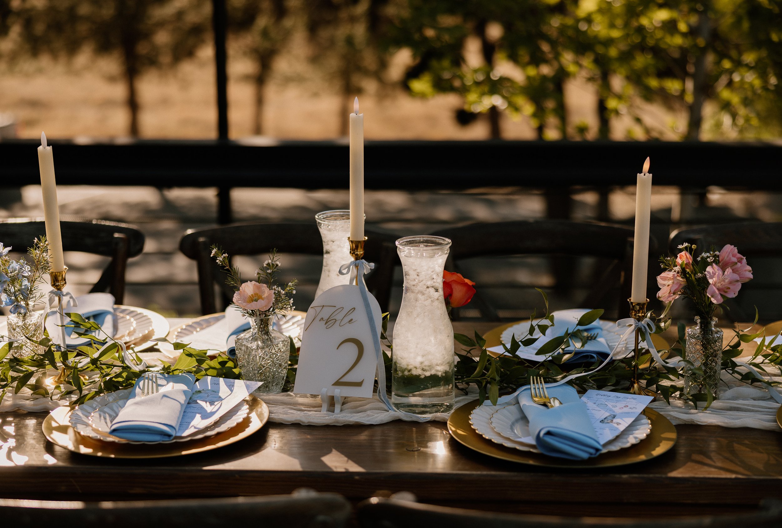 Nicole Catherine Photography