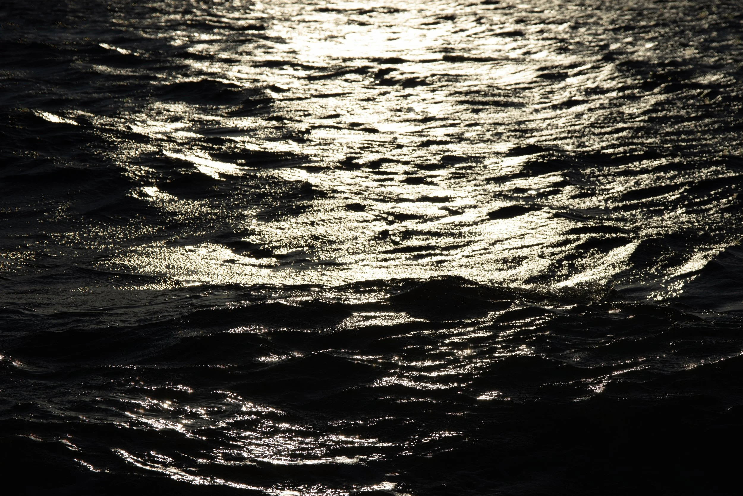 7P6A7663-retouched.jpg