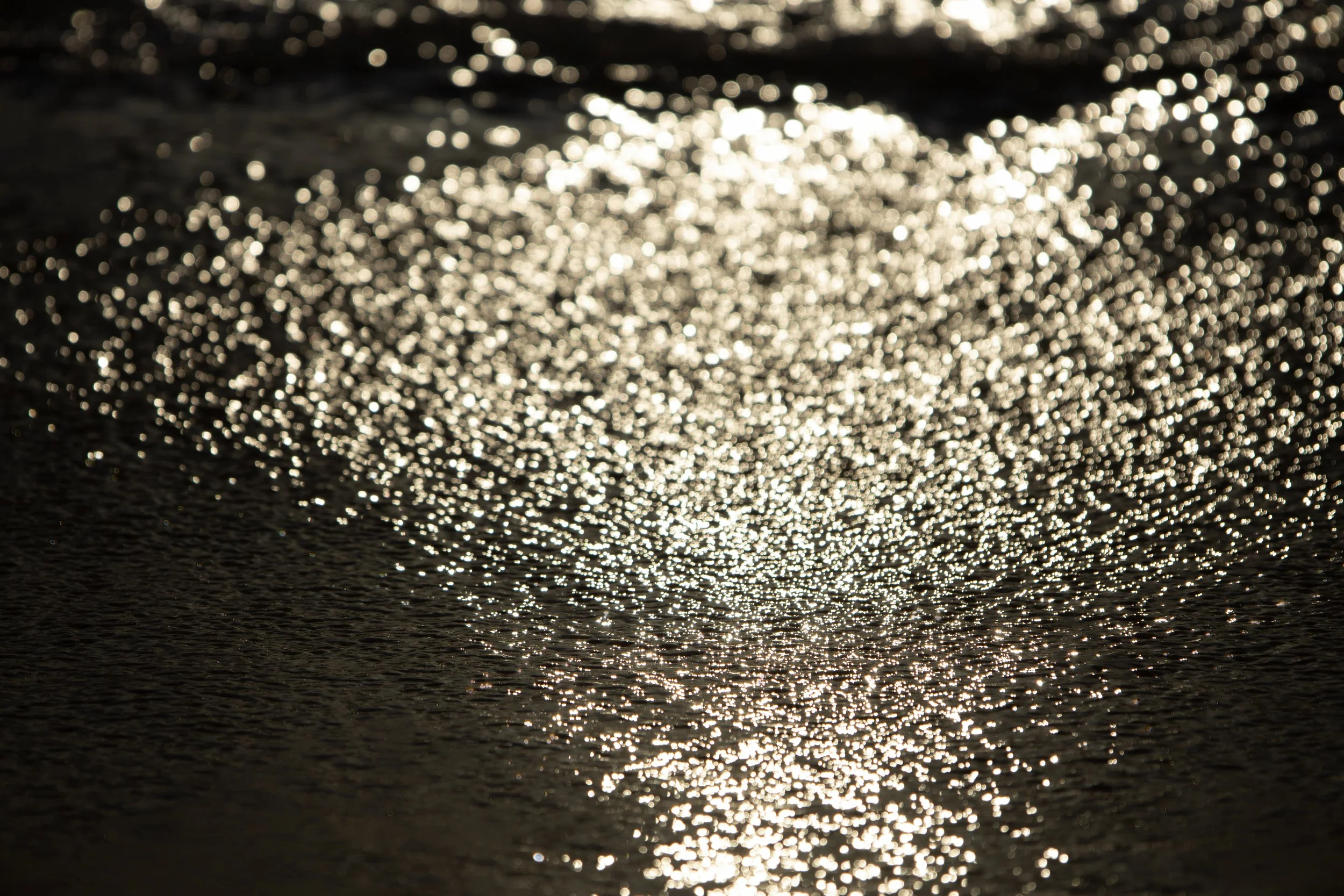 7P6A7800-retouched.jpg