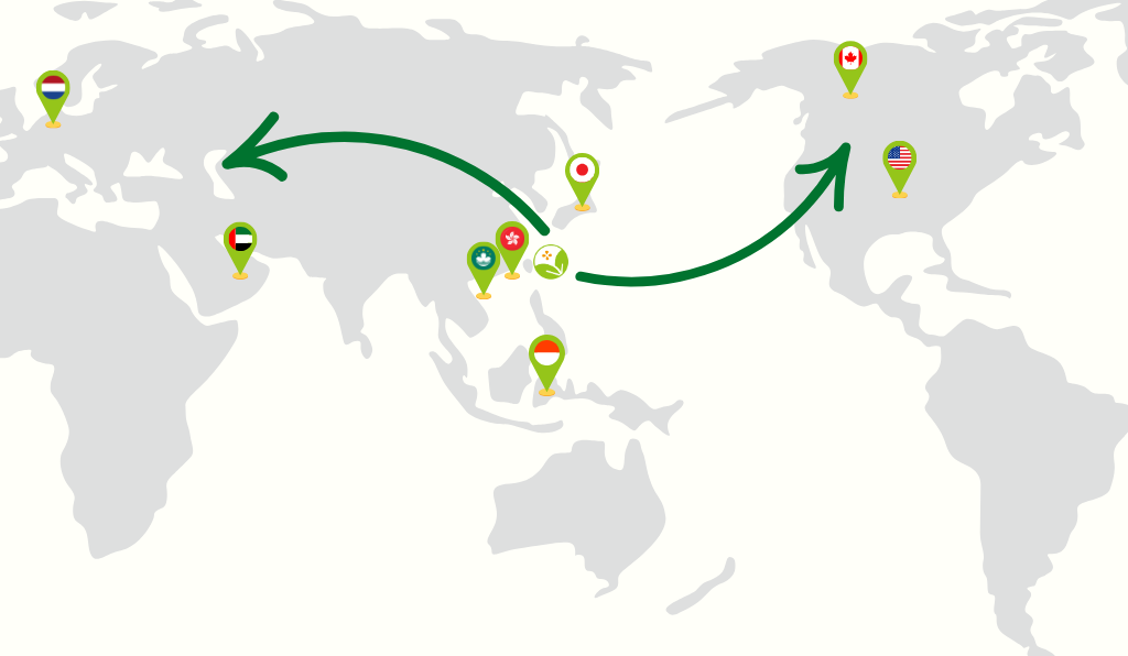 FwuSheng Flower partners in all around the world.