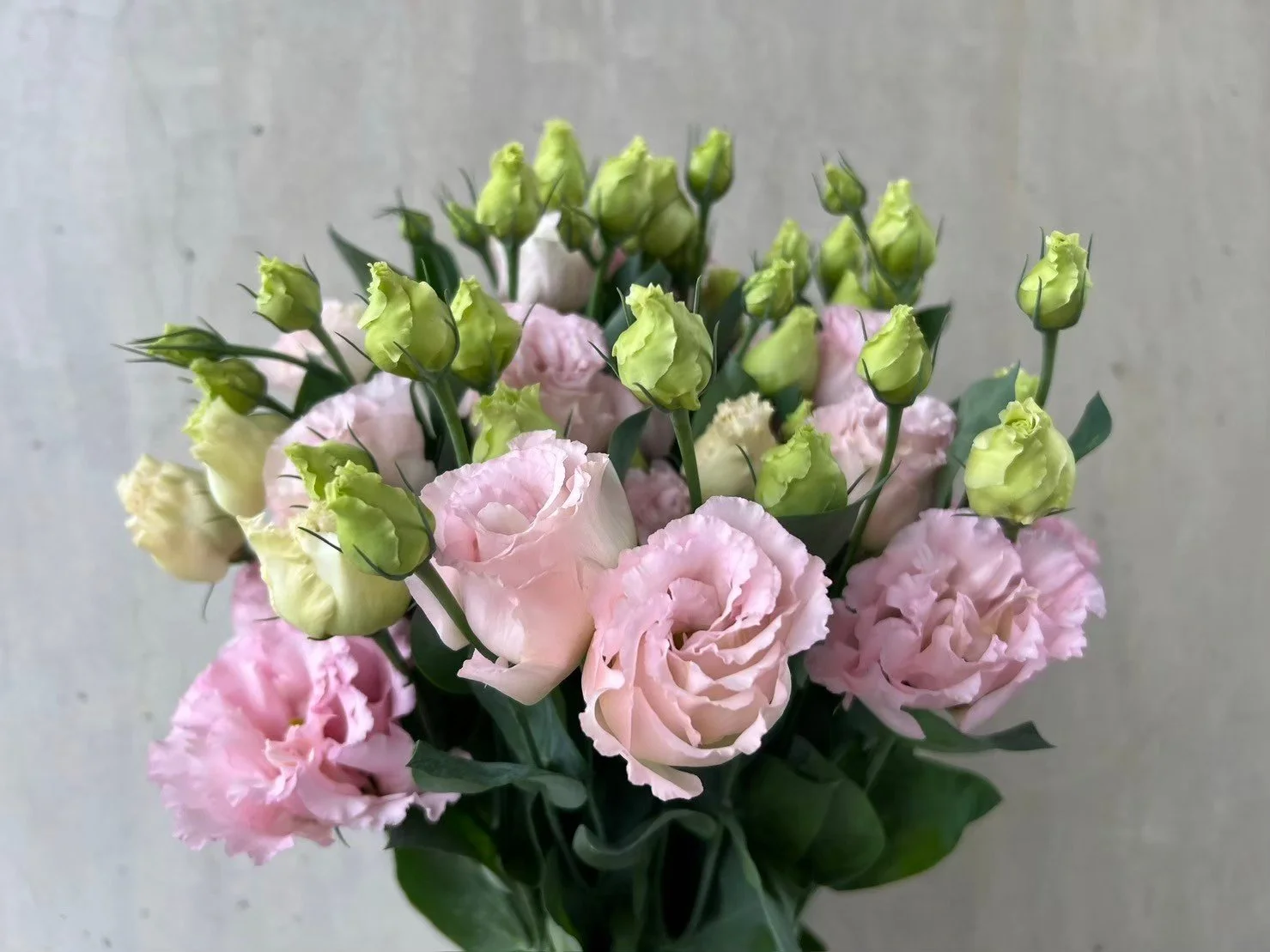 Elece Light Pink