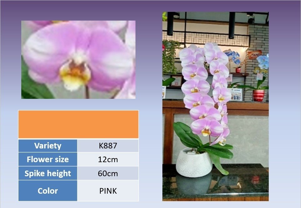 3.5寸 HK$129.00