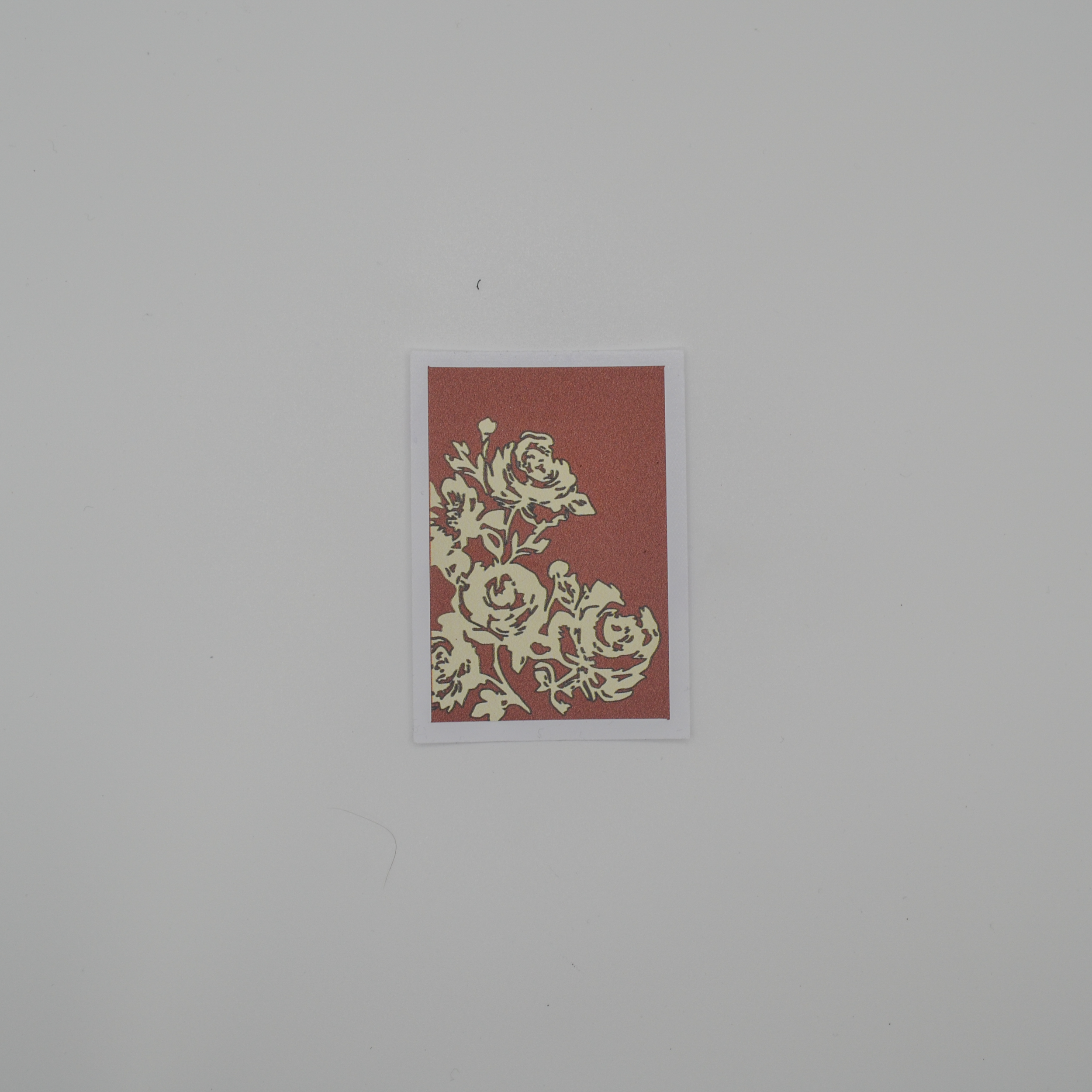 DSC_3209.png