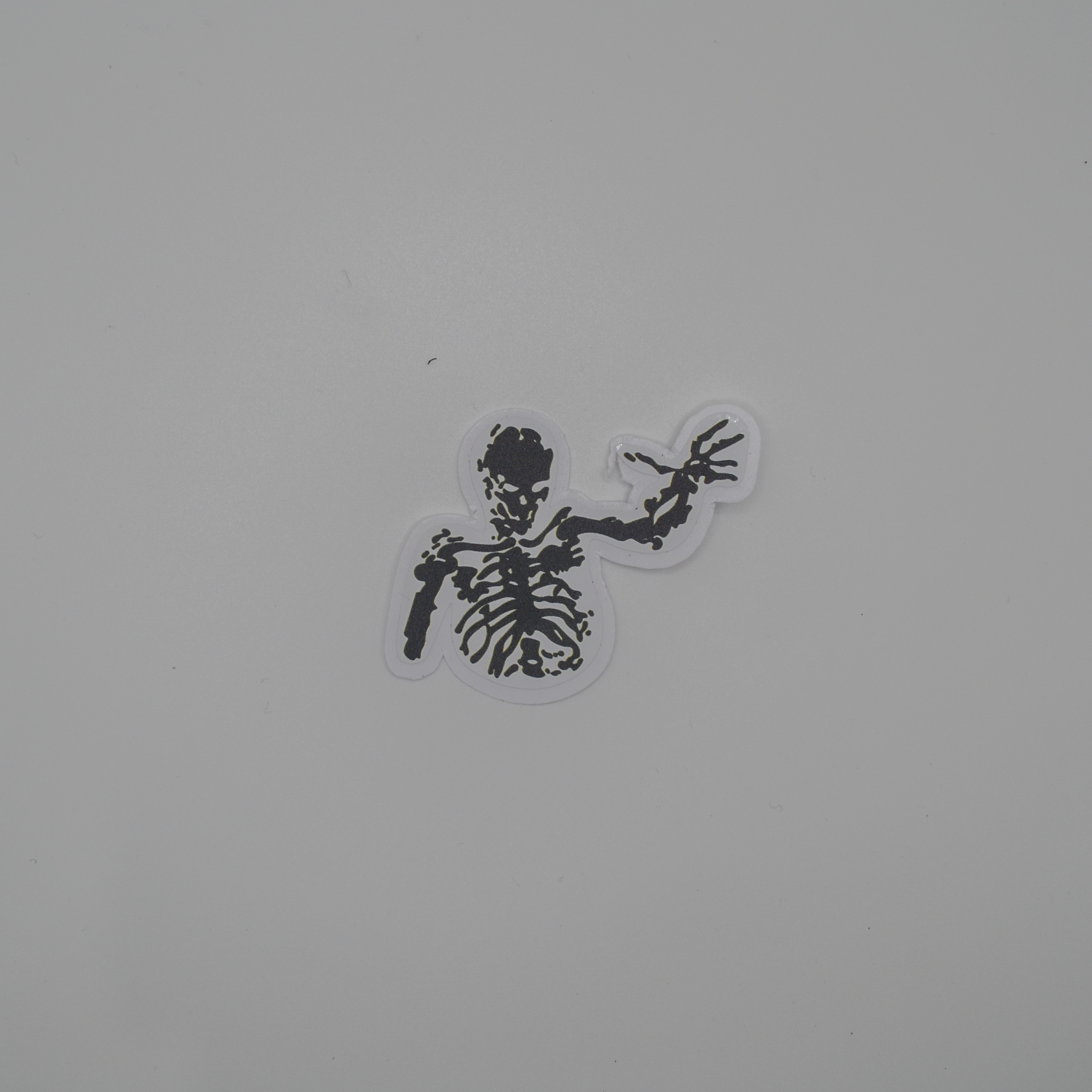 DSC_3202.png