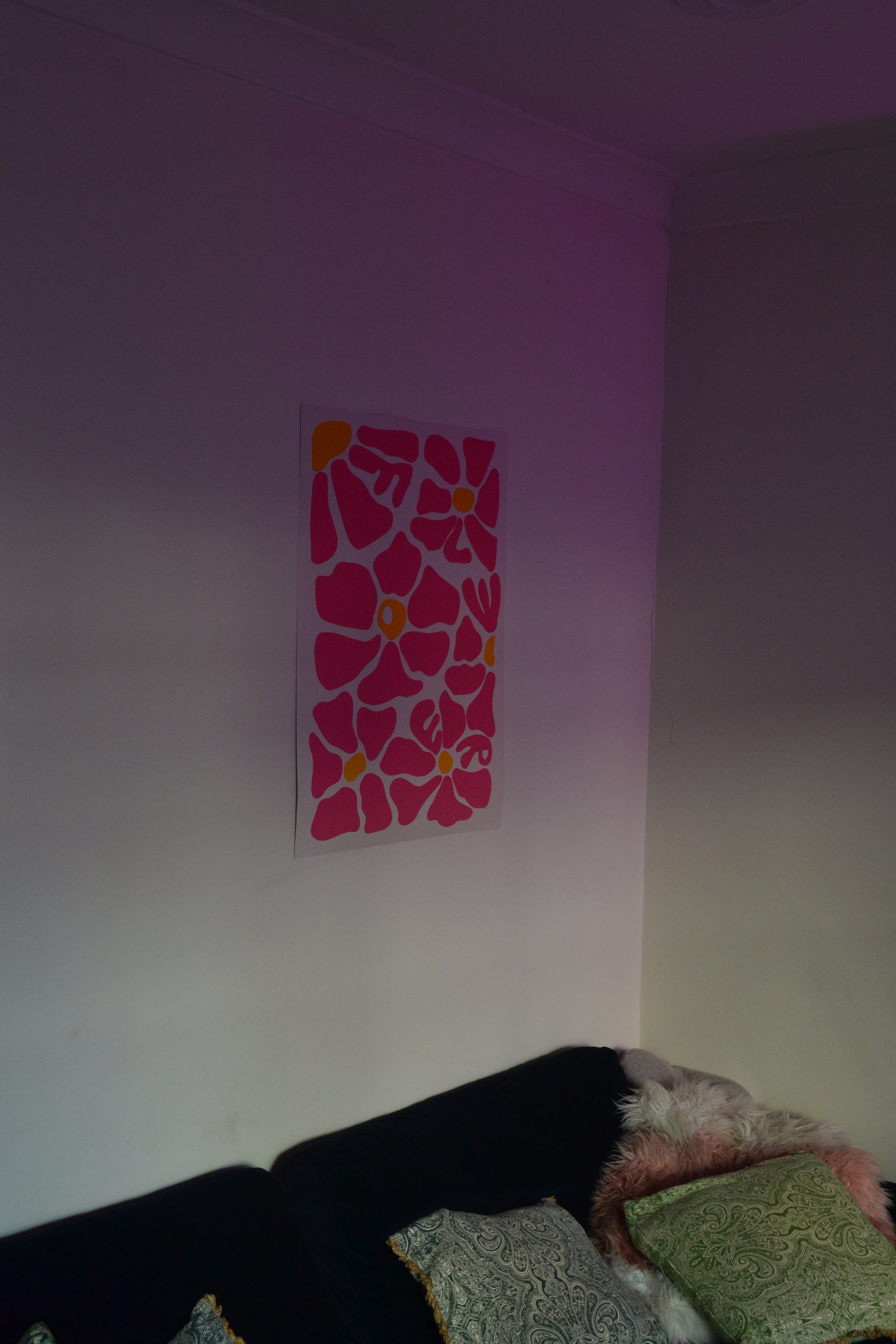 Posters