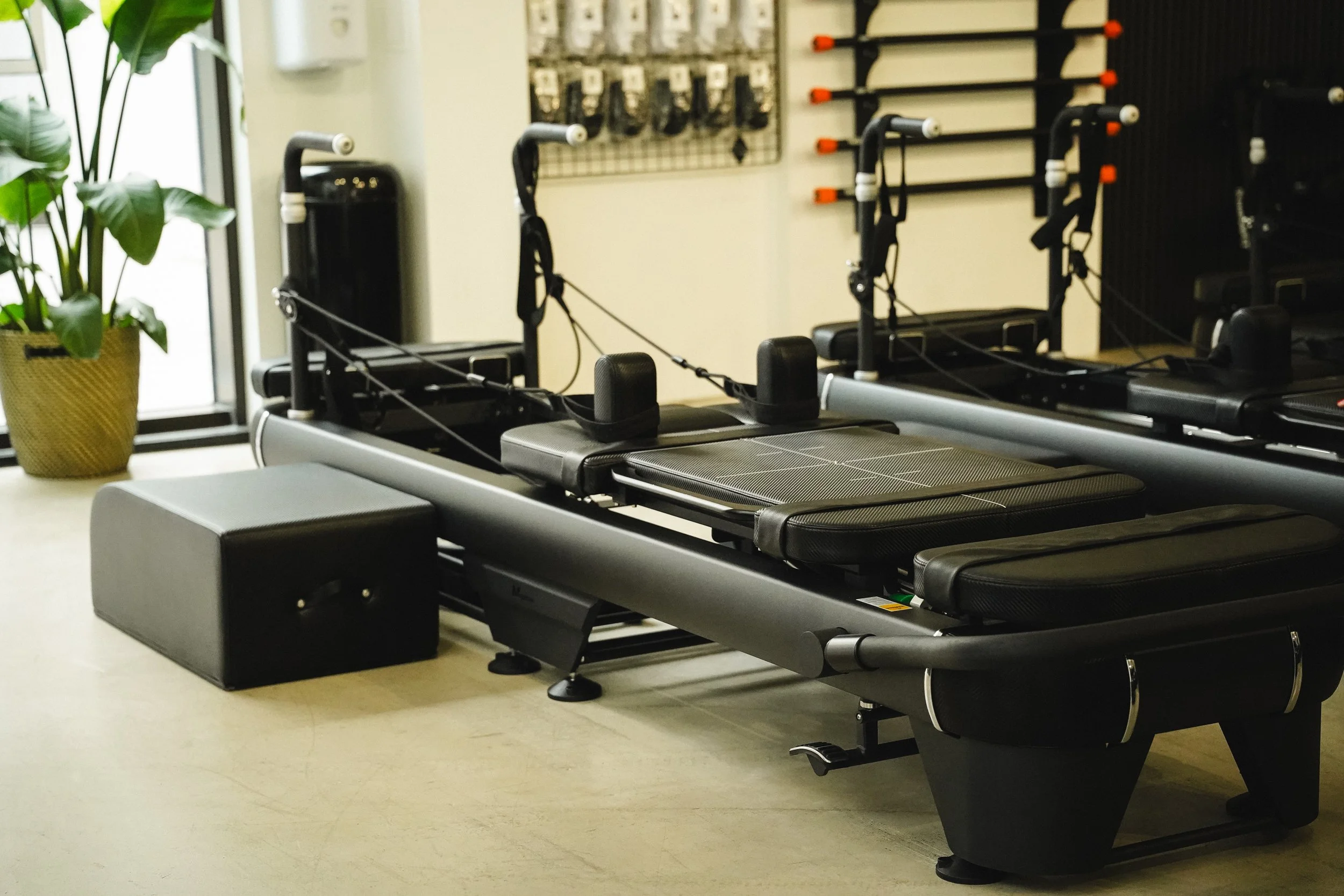 Reformer Pilates equipment in a fitness studio, including a reformer machine with straps, a small black box, and a wall with workout accessories. There is a large plant near a window on the left side.
