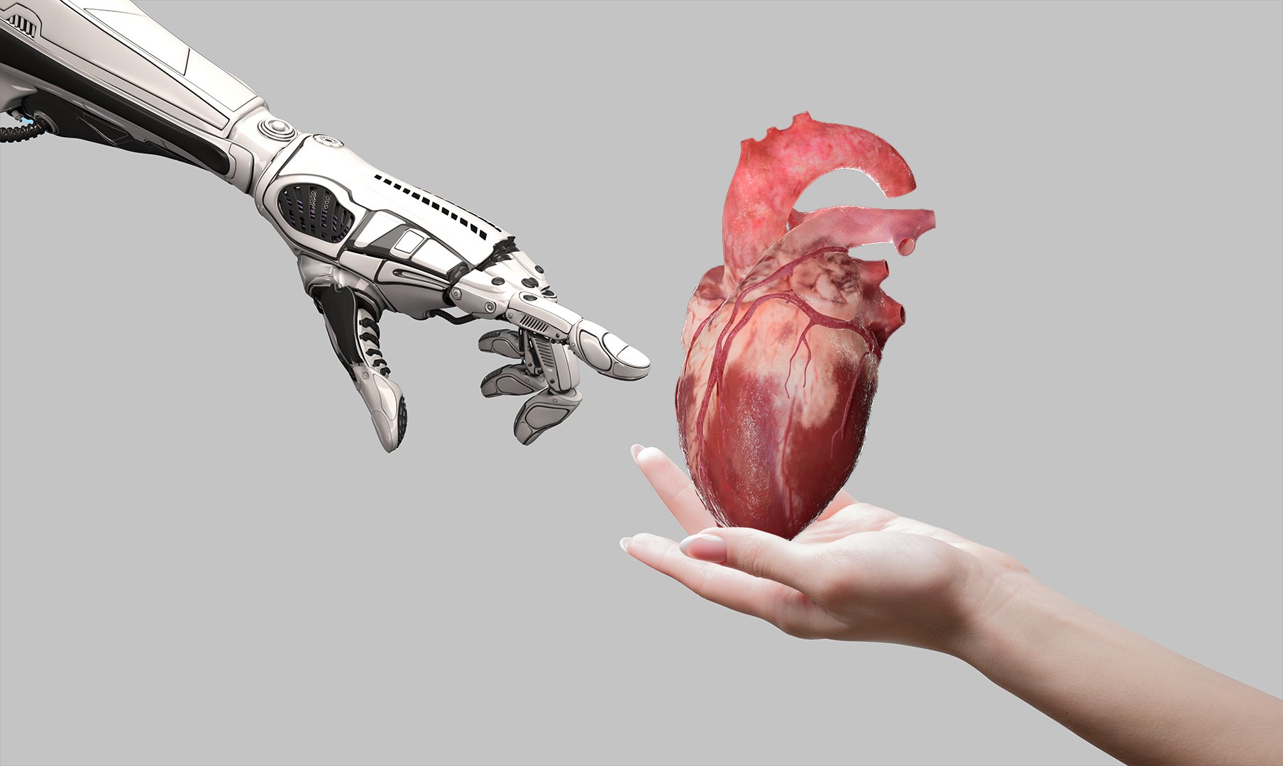 Anatomia além dos livros: como os modelos 3D estão transformando o aprendizado em saúde