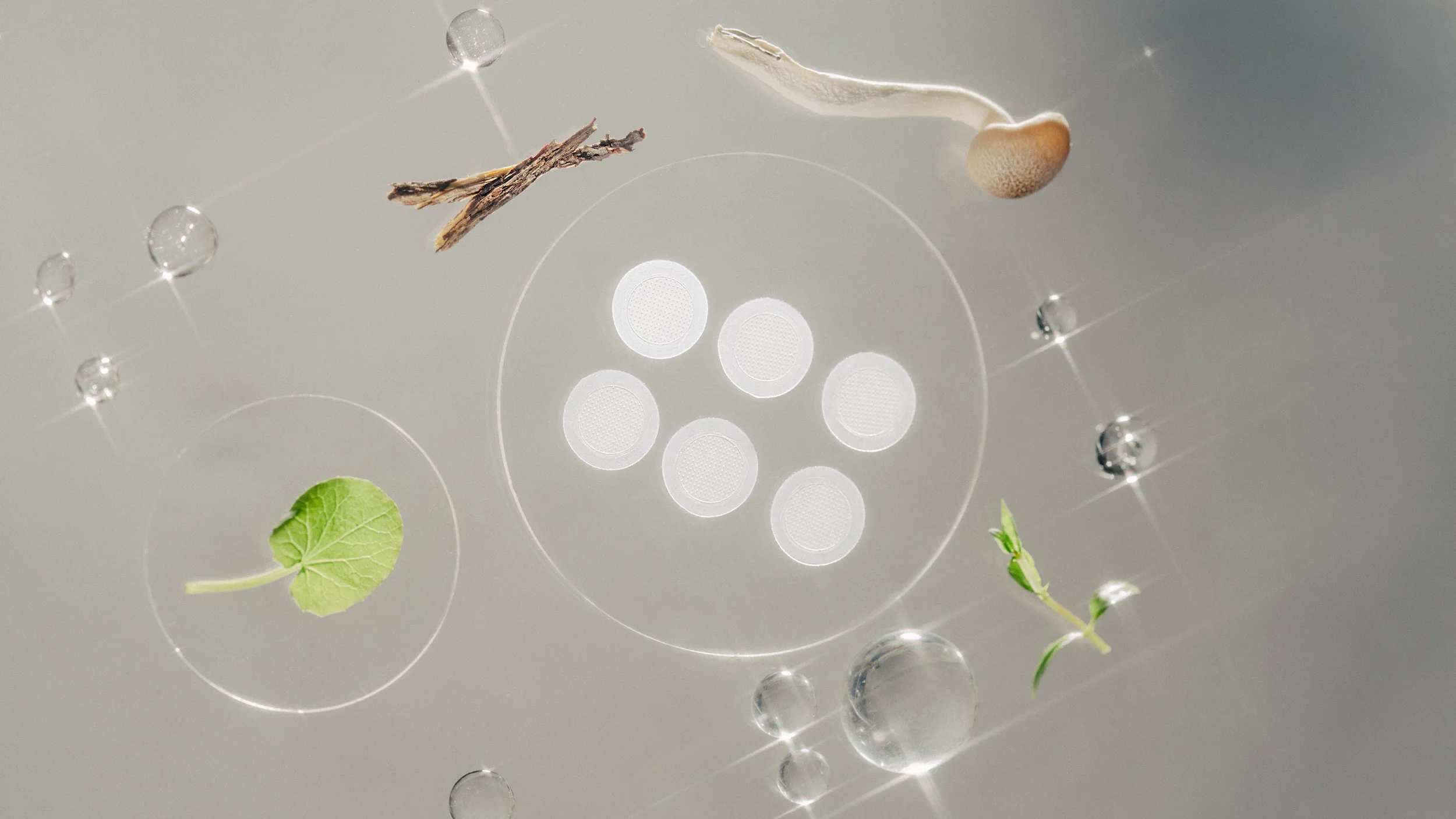 Active ingredients displayed in a clean, scientific light.