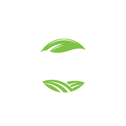 Springfresh Foods