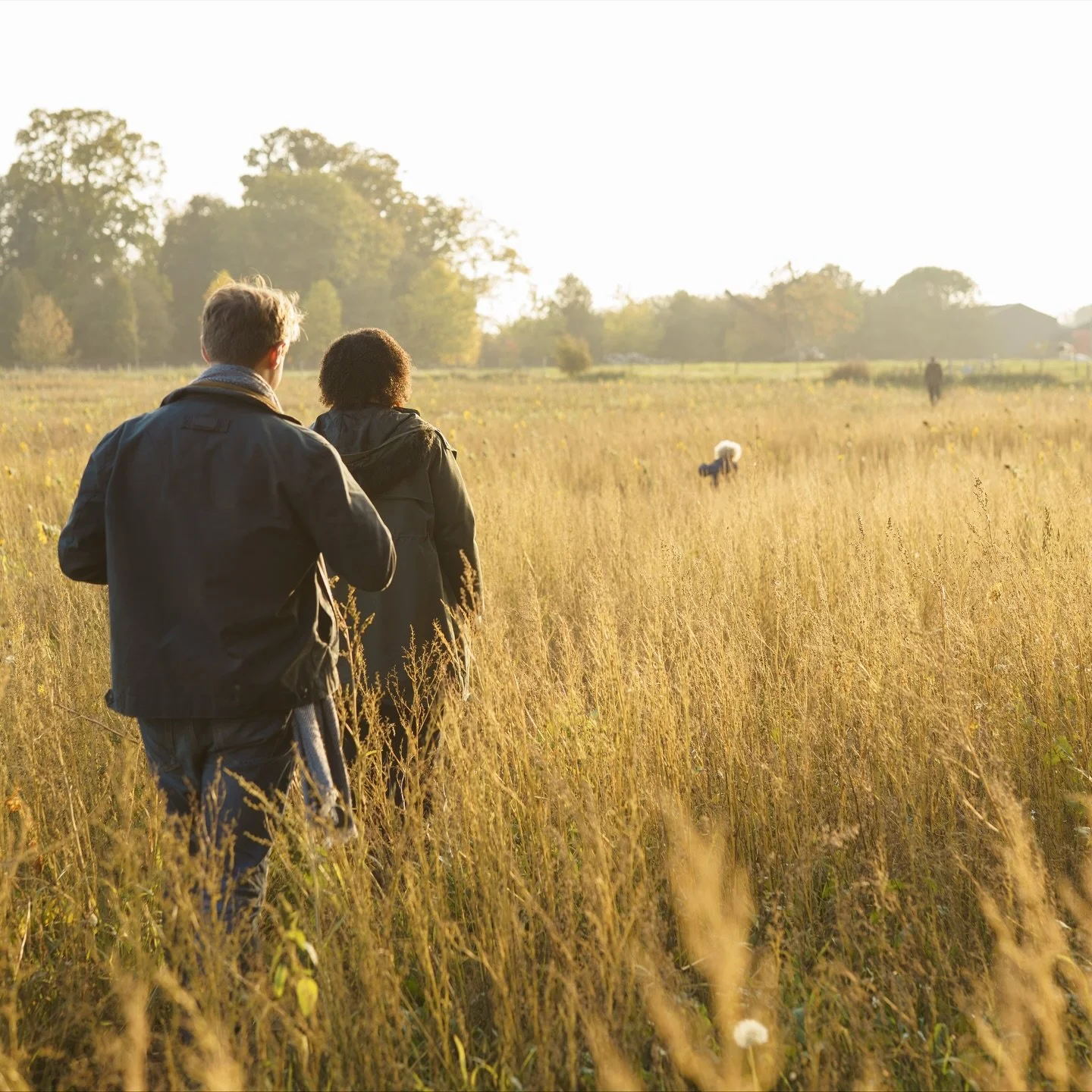 An autumnal mini shoot from a few months back 💛
This beautiful sunflower field is close to the family&rsquo;s hearts, so I felt very honoured to capture some lovely family moments.

&bull;
&bull;
&bull;
&bull;
&bull;
&bull;
#buckinghamshirephotograp