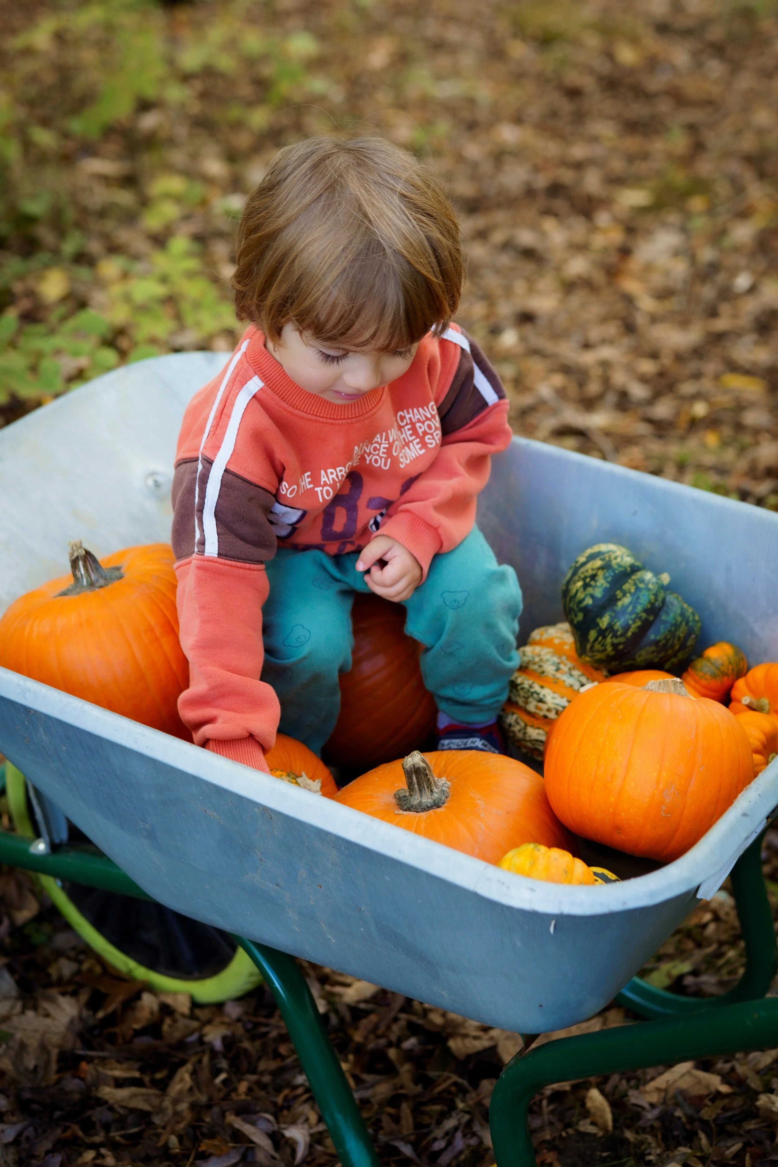 Autumal_Theo_2026_gabby_culverwell_photography-3.jpg
