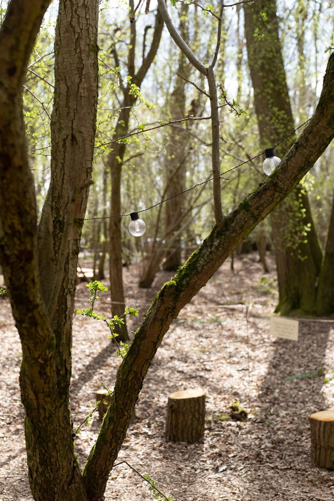 Woodland_Wedding_Buckinghamshire_Gabby_Culverwell_Photography-229.jpg
