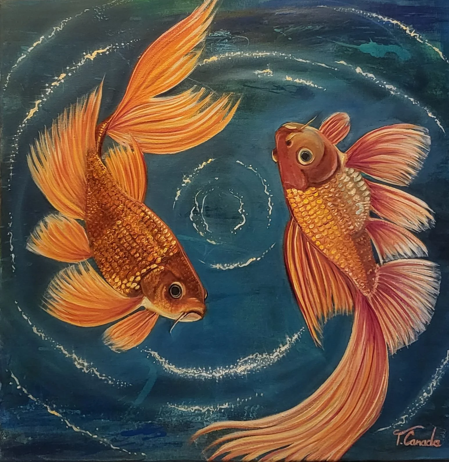 Goldfish Harmony