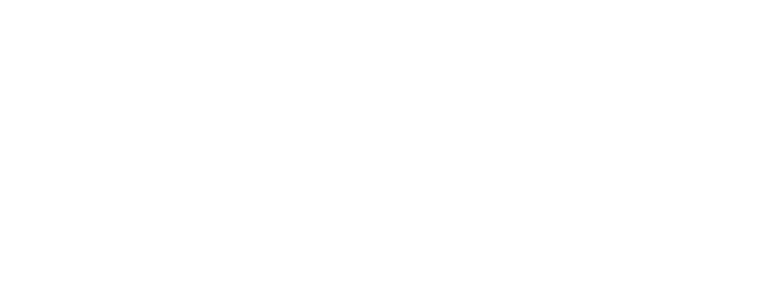 A Vision for Wayne