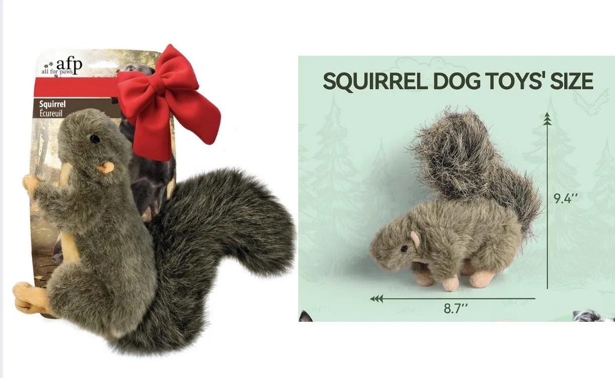 Squirrel Squeaky.jpg