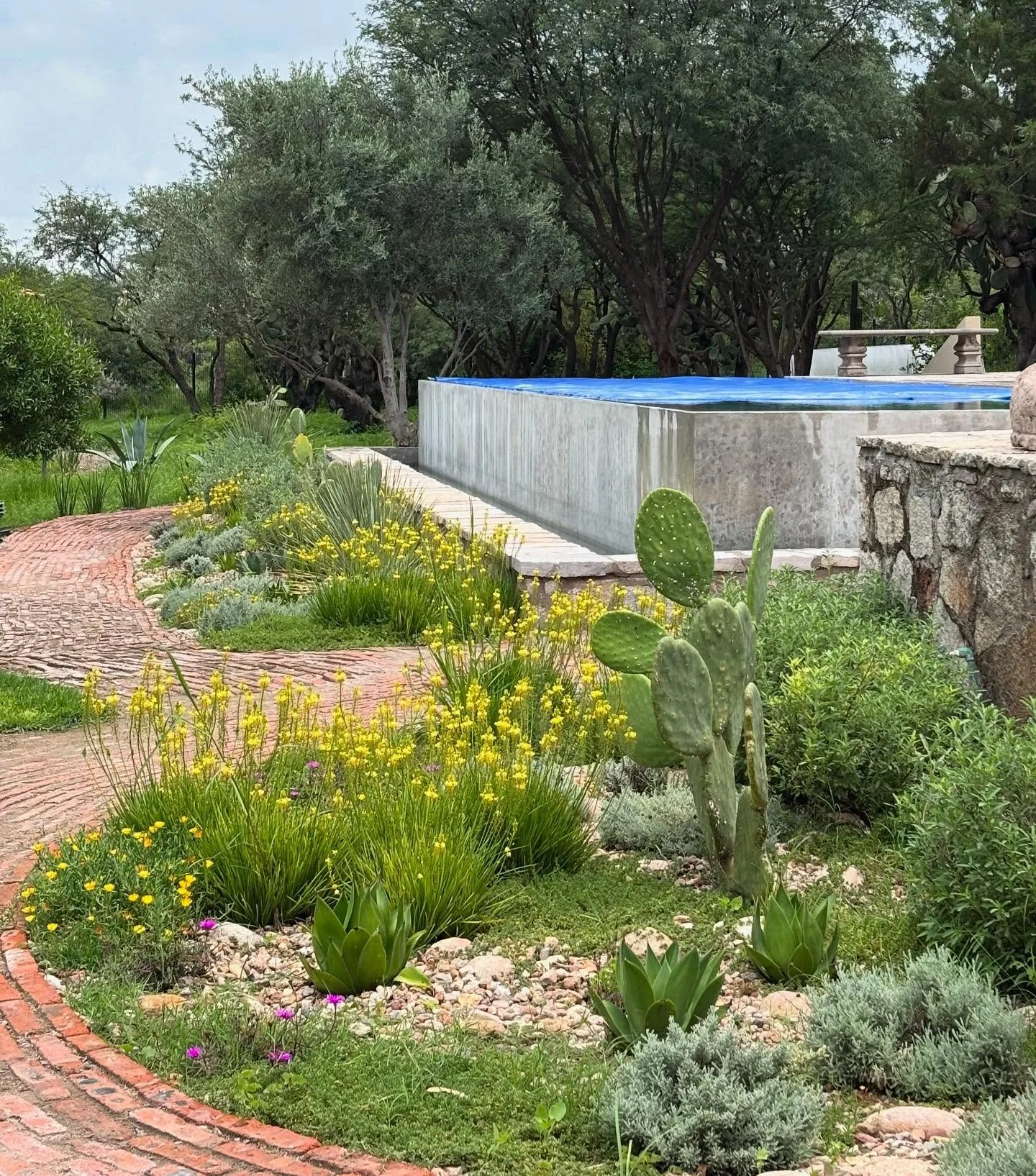 Visitamos Casa Garambullo, un proyecto de Paisajismo Campestre en el que estuvimos trabajando durante el 2024. El dise&ntilde;o de este proyecto tuvo como criterios conectar la propiedad a trav&eacute;s de la creaci&oacute;n de senderos y recorridos 