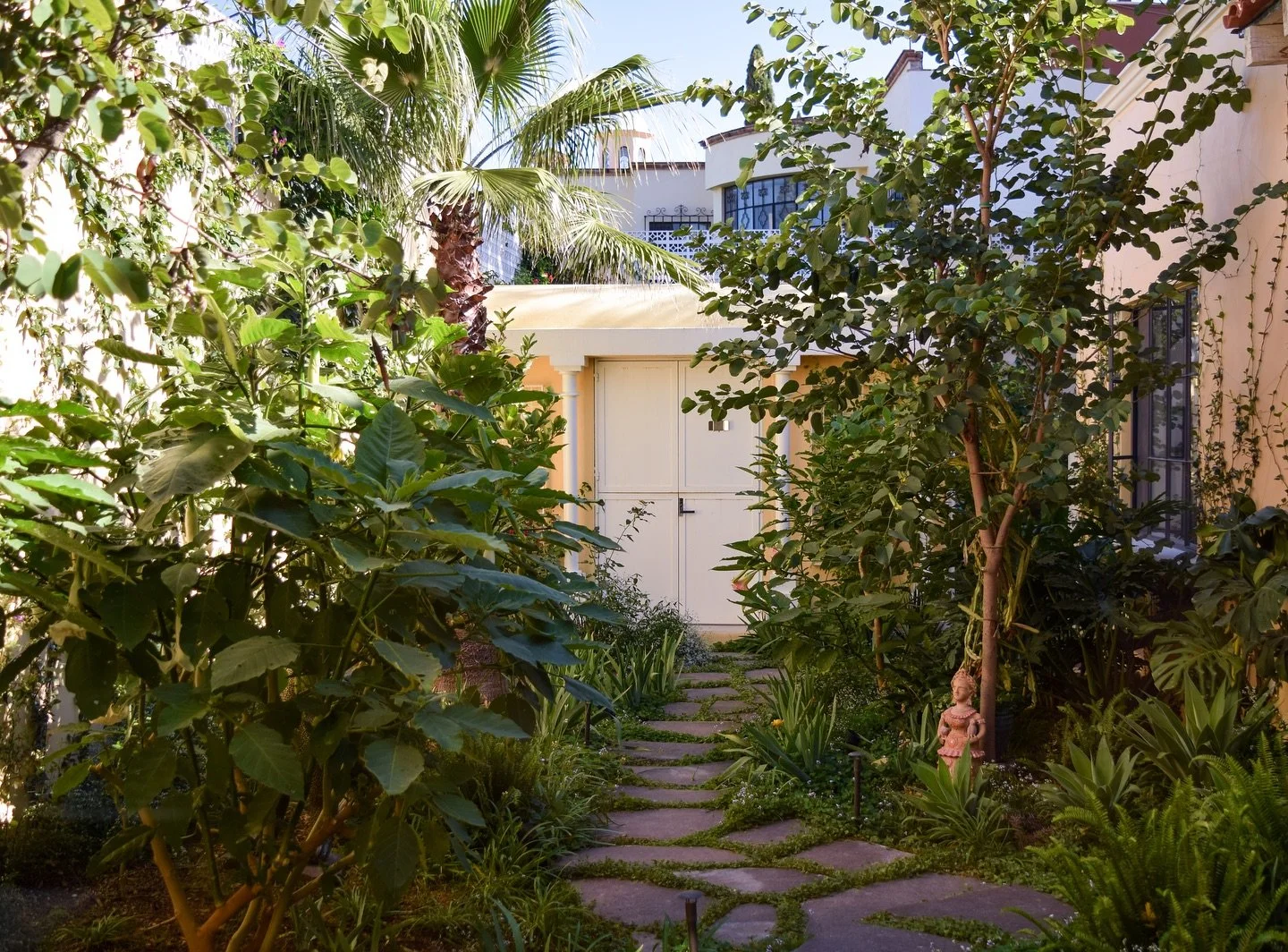 Dise&ntilde;o de jard&iacute;n de media sombra 🌱

As&iacute; se ve el jard&iacute;n de Potranca a medio a&ntilde;o de su plantaci&oacute;n, nos emociona mucho ver la evoluci&oacute;n de las plantas y c&oacute;mo van tomando su lugar en el espacio. 
