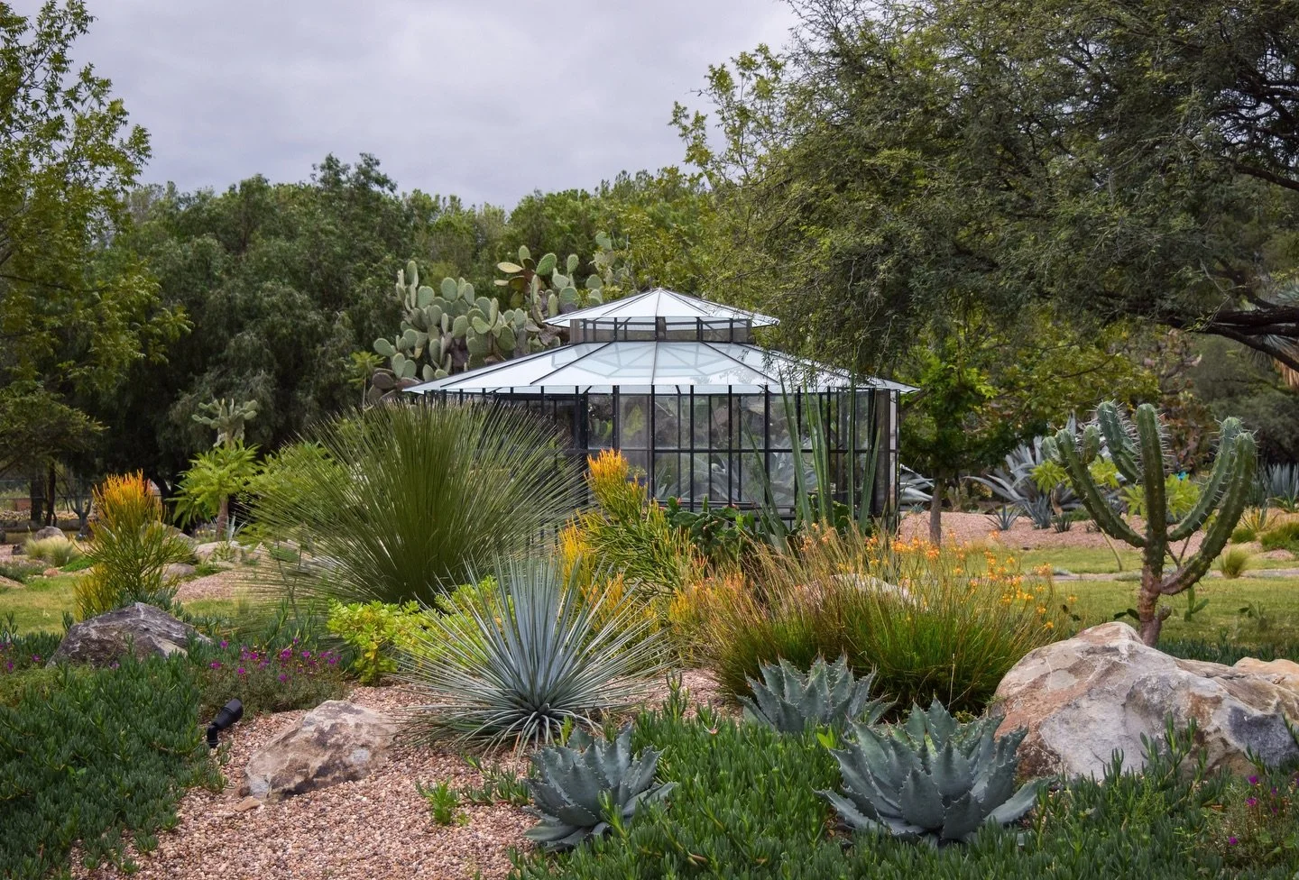 El invernadero de cristal de Hacienda Amor y un jard&iacute;n lleno de color 🌱

#sanmigueldeallende #landscapedesign #paisajismo #jardinesdemexico #landscaping #dise&ntilde;odejardines #gardeninspo #waterwisegardening