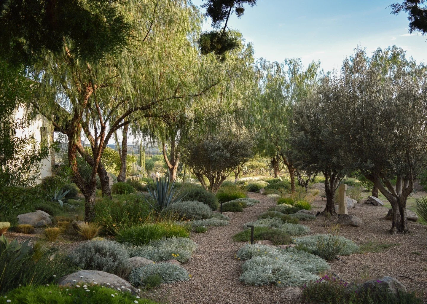 Una de las cosas que m&aacute;s nos gustan de los jardines es que nos permiten conectarnos con nuestro entrono, crean un espacio para la calma y la contemplaci&oacute;n. Nos regalan un momento para salirnos de nuestra cabeza, para separarnos del mund