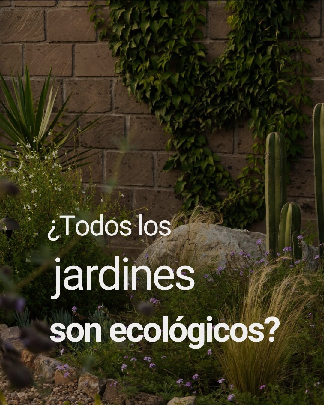 &iquest;Todos los jardines son ecol&oacute;gicos?
No necesariamente.

Un jard&iacute;n puede verse verde y bonito, pero eso no siempre significa que sea sensible al entorno.
Un dise&ntilde;o ecol&oacute;gico empieza mucho antes de elegir plantas: com