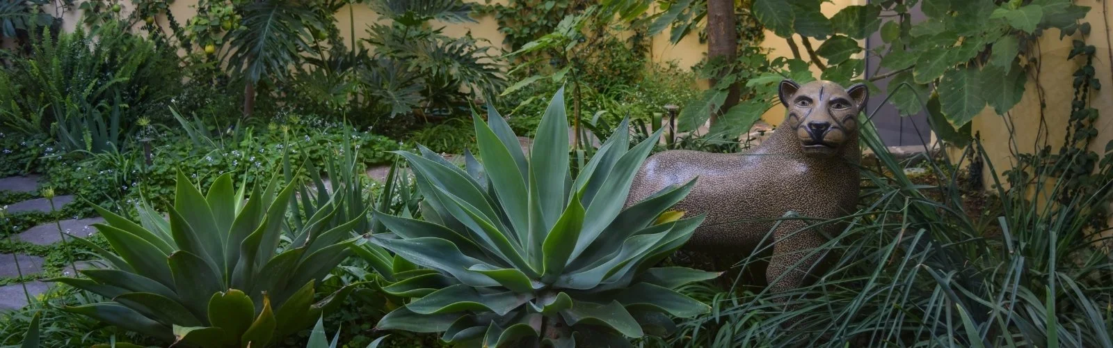 Foto Formulario 1.jpg