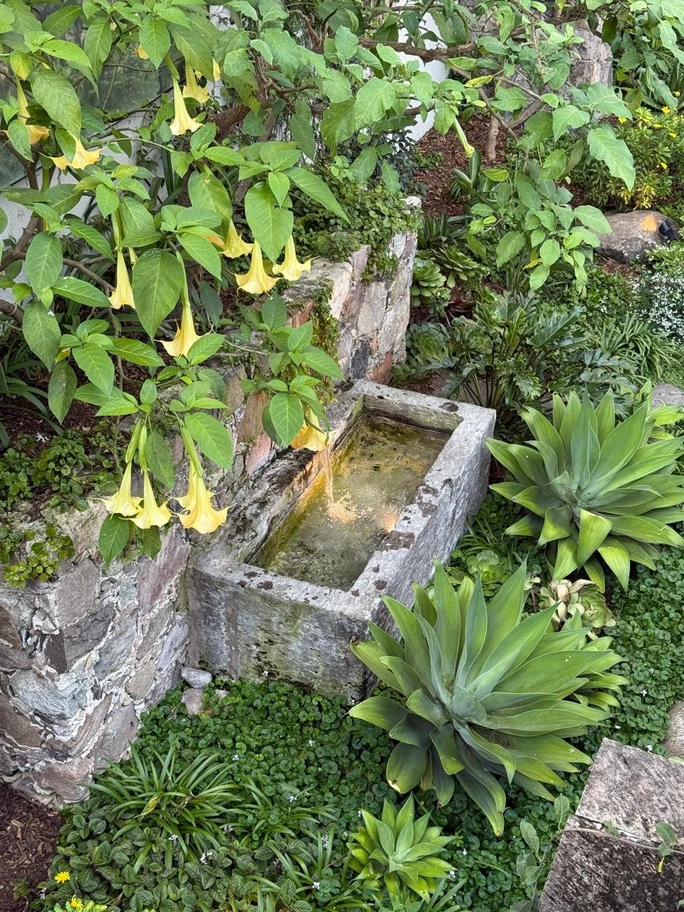 Imagen de WhatsApp 2025-10-10 a las 15.48.03_ff9e7727.jpg