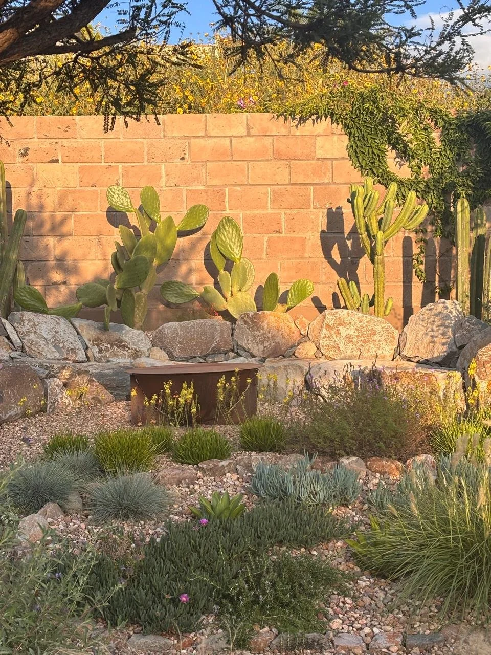 Imagen de WhatsApp 2025-10-10 a las 15.43.20_3a14638e.jpg