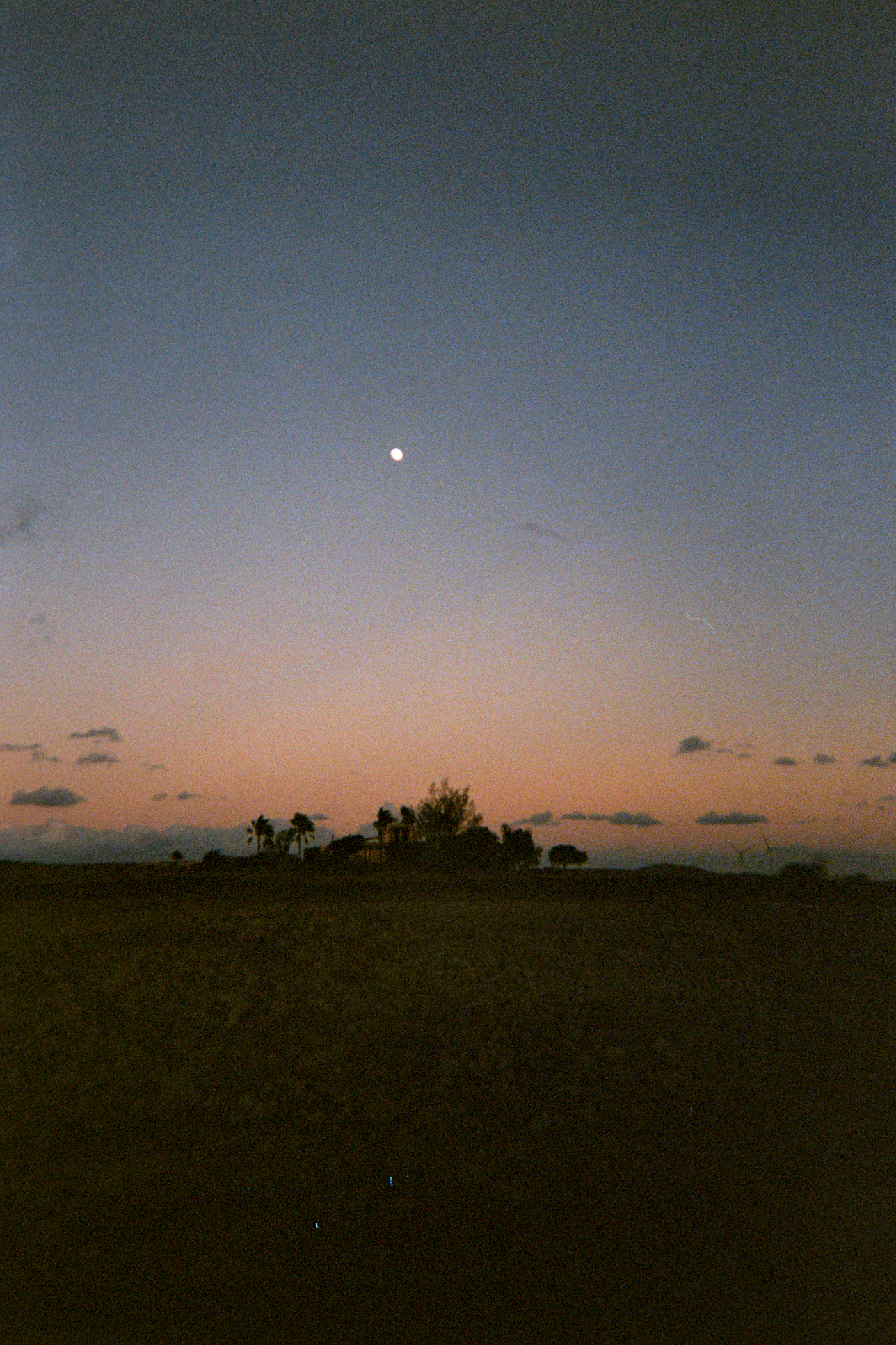 A landscape at dusk with a dark foreground, small silhouette trees in the distance, a sky transitioning from sunset colors to night, a bright moon, and some small clouds.