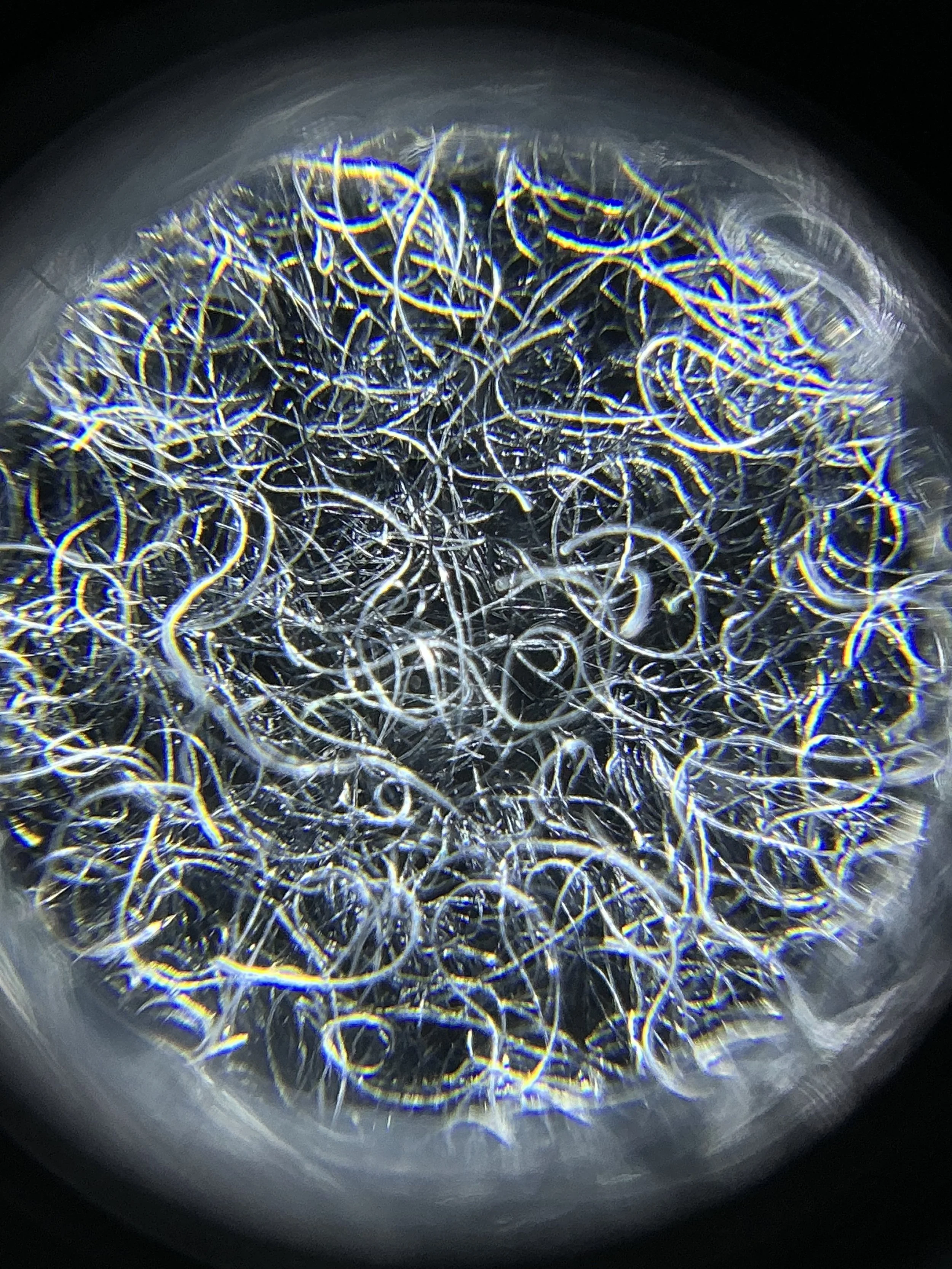Close-up view of tangled metallic wires or filaments under magnification, creating an intricate, chaotic pattern.