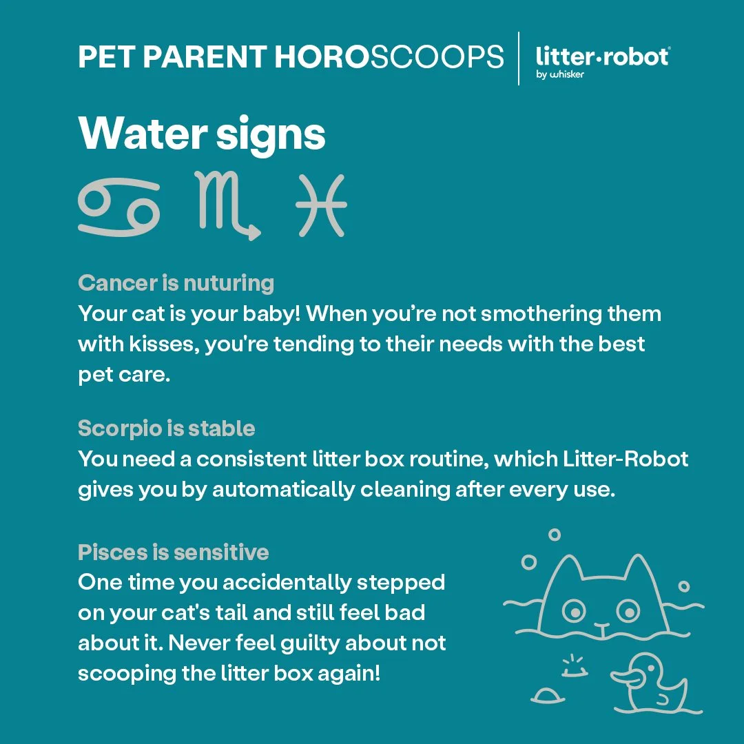LR_horoscopes_water.jpg