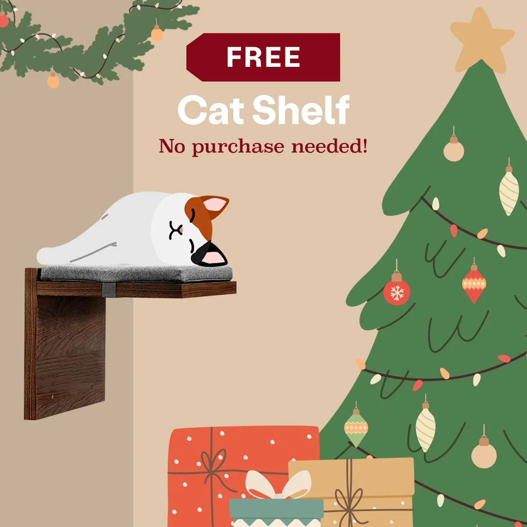 Catsmas-Day4gift.jpg