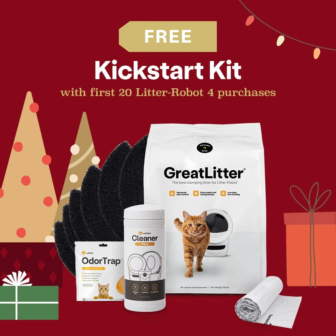 Catsmas-Day6gift.jpg