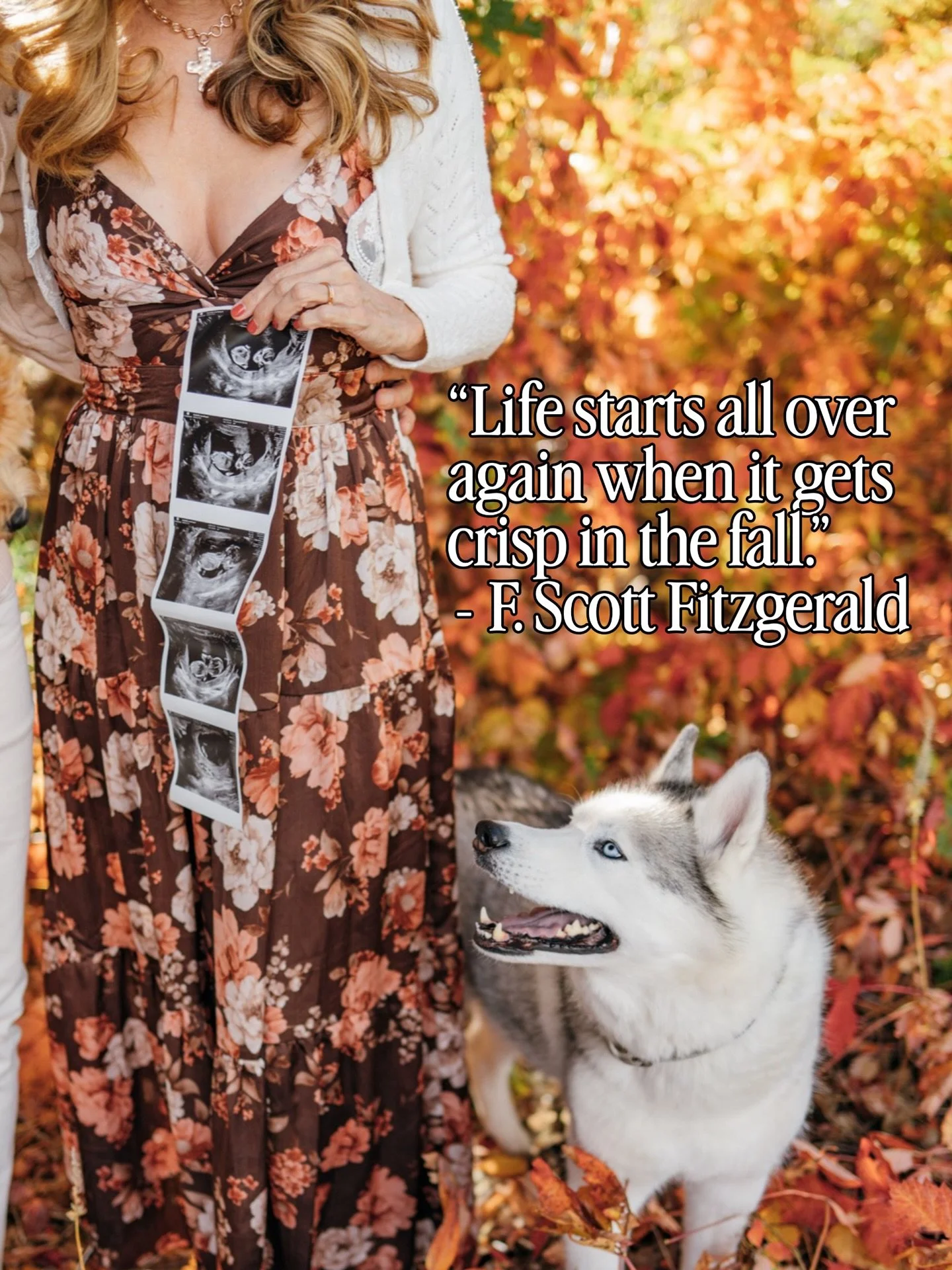 🍁 Happy First Day of Fall 🍁

Here&rsquo;s to fresh starts &amp; new beginnings.

Colorado Springs family maternity photographer
