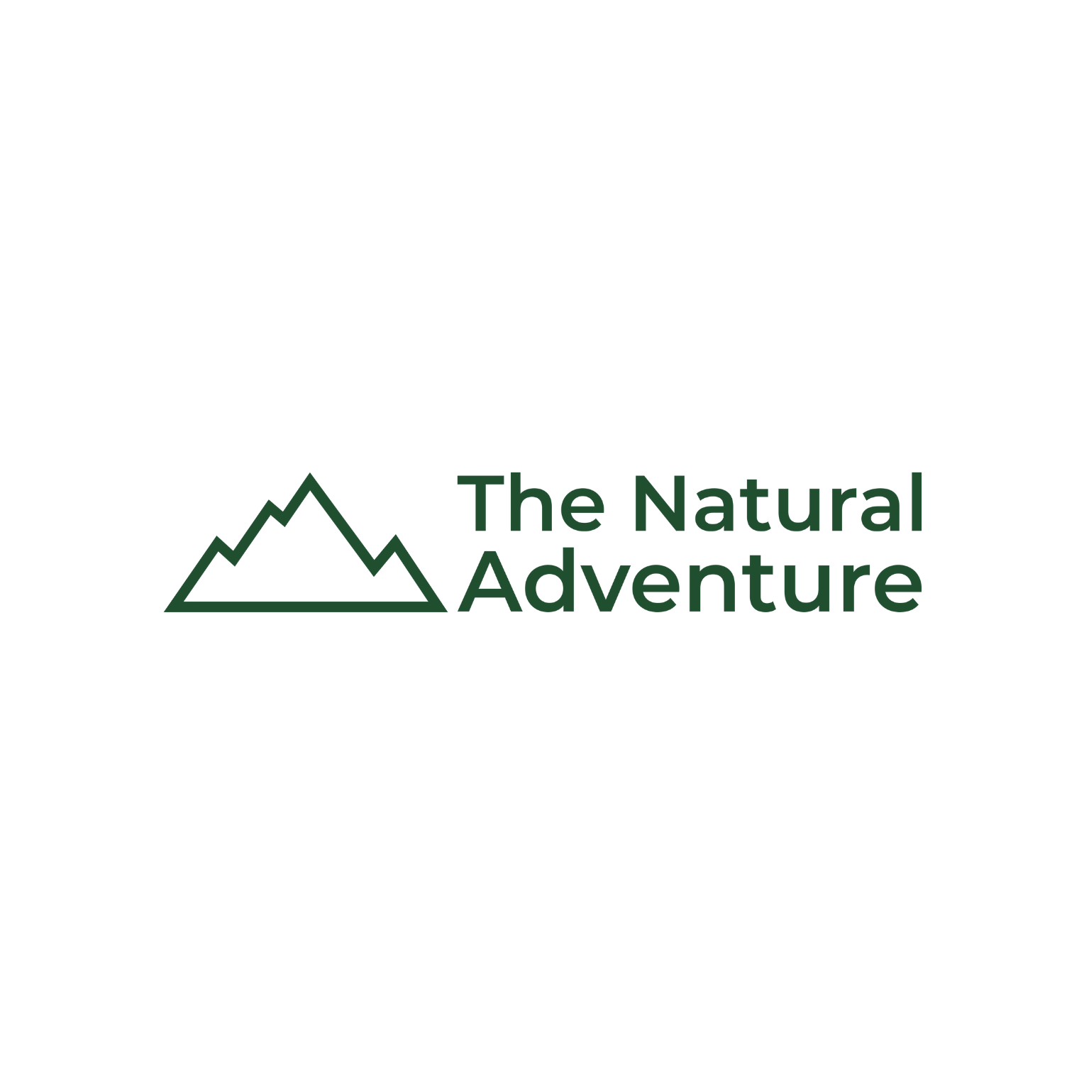Logo with mountain outline and text 'The Natural Adventure' in dark green.
