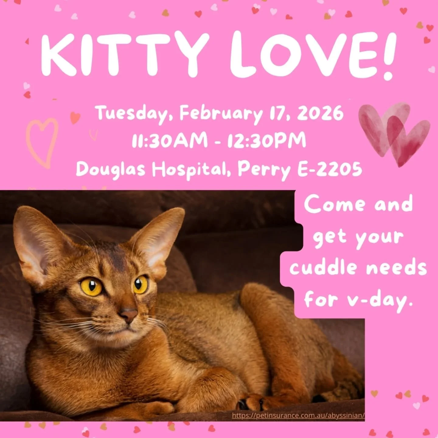BREAKING NEWS!!! WE ARE GETTING A KITTY FOR THR DOUGLAS 
I REPEAT A KITTY FOR THE DOUGLAS!!

An extra special Dougie dogs with a Valentine's kitty! Grab your bestie and learn now to woo a sweet little baby on Tuesday Feb 17!