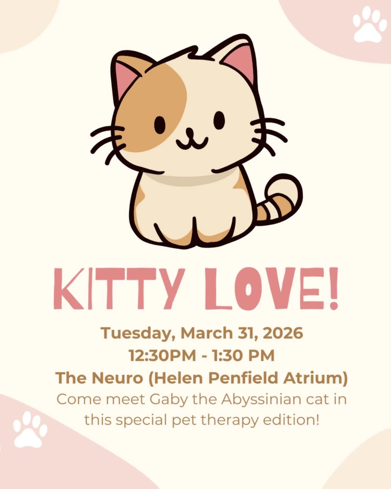 Come to our next animal therapy for proof that paws-itivity improves cognition🐱🧠