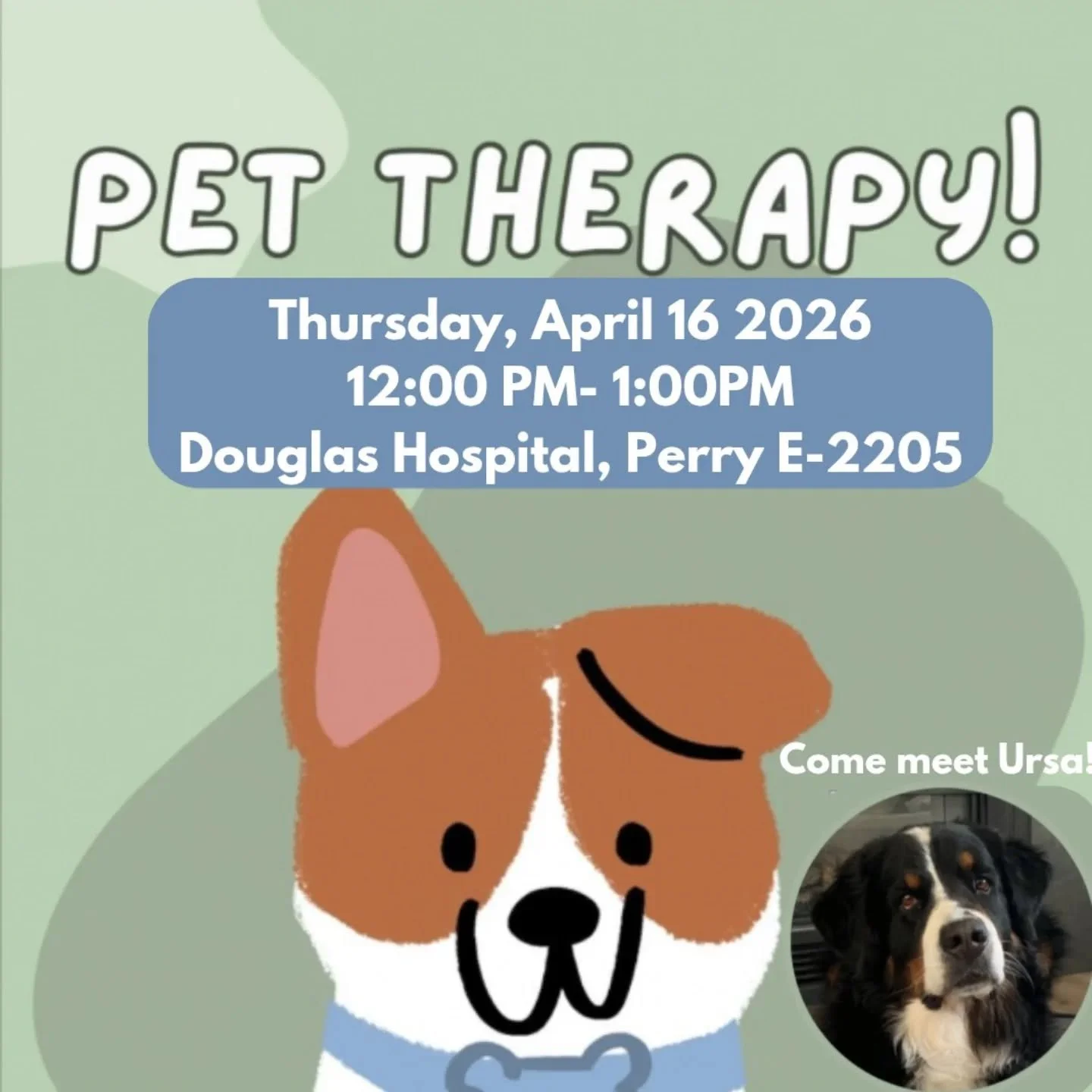 We're back with another round of Dougie dogs- miss Ursa will be back for all the huggles after Easter break for your comfort needs!

📆 Thursday, April 16
⏰ 12:00PM-1:00 PM
📌 DOUGLAS Perry E-2205

No sign ups necessary! Just come and meet the bearie