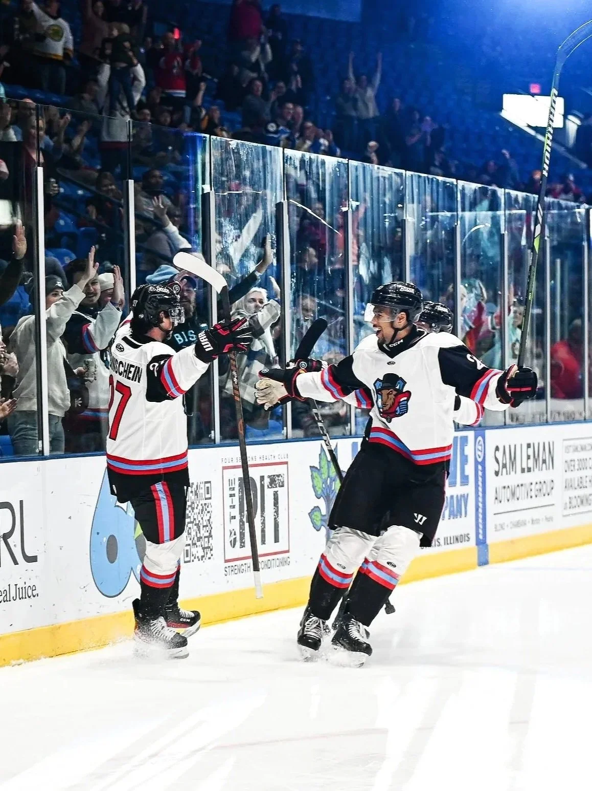 Bloomington Bison ECHL