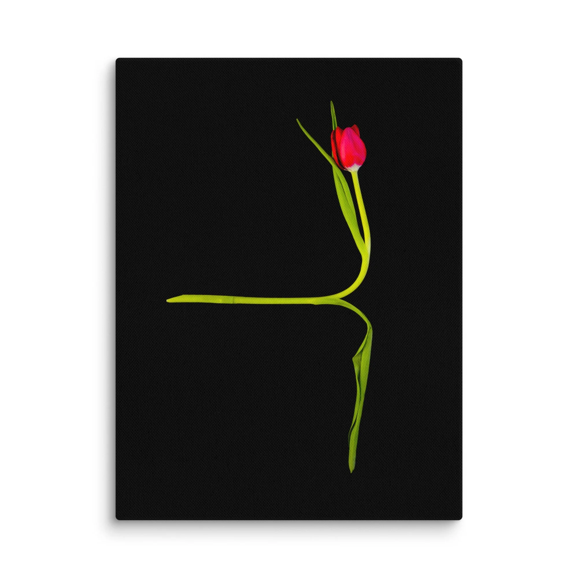 Arabesque - Canvas Print