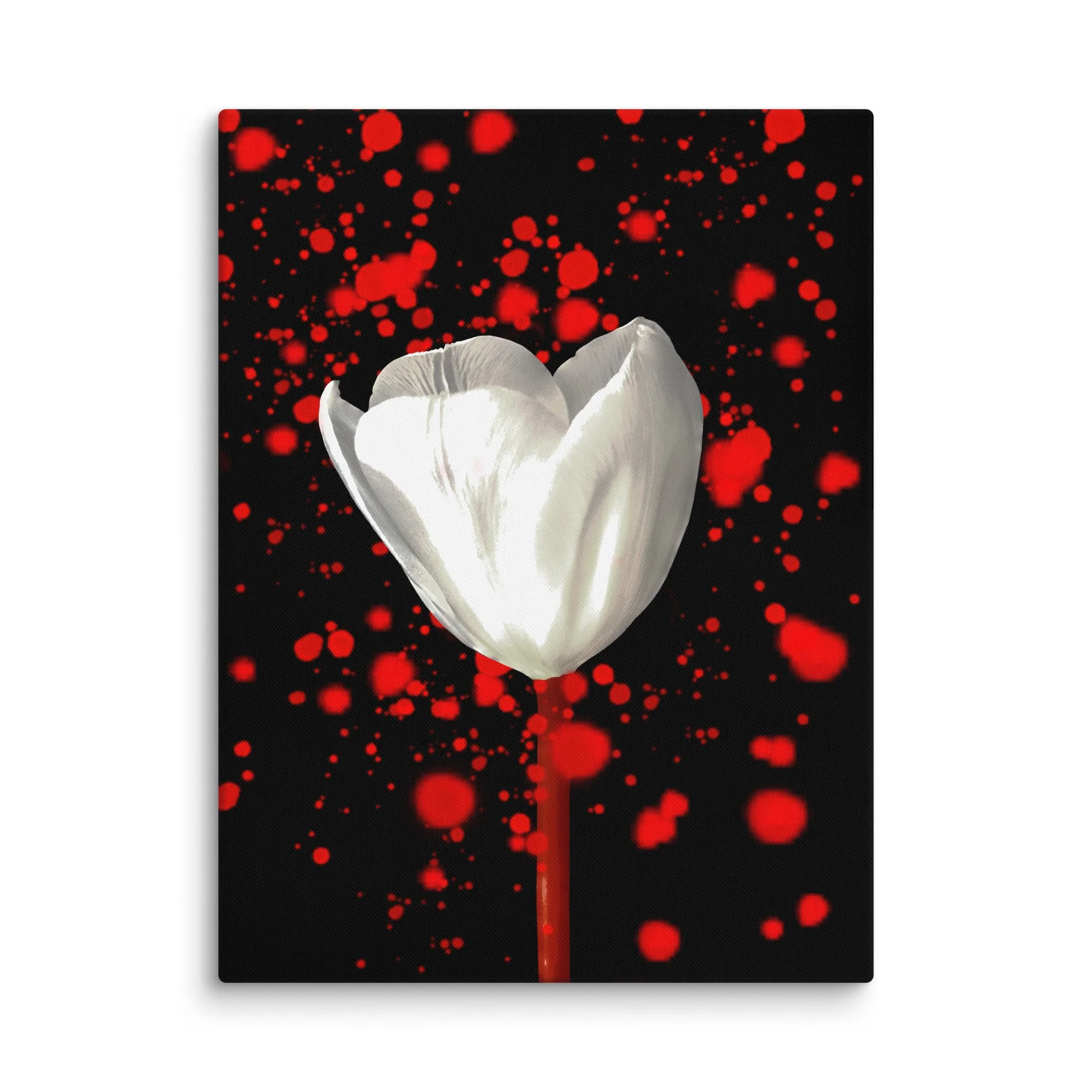 Red Cosmos, White Bloom - Canvas Print