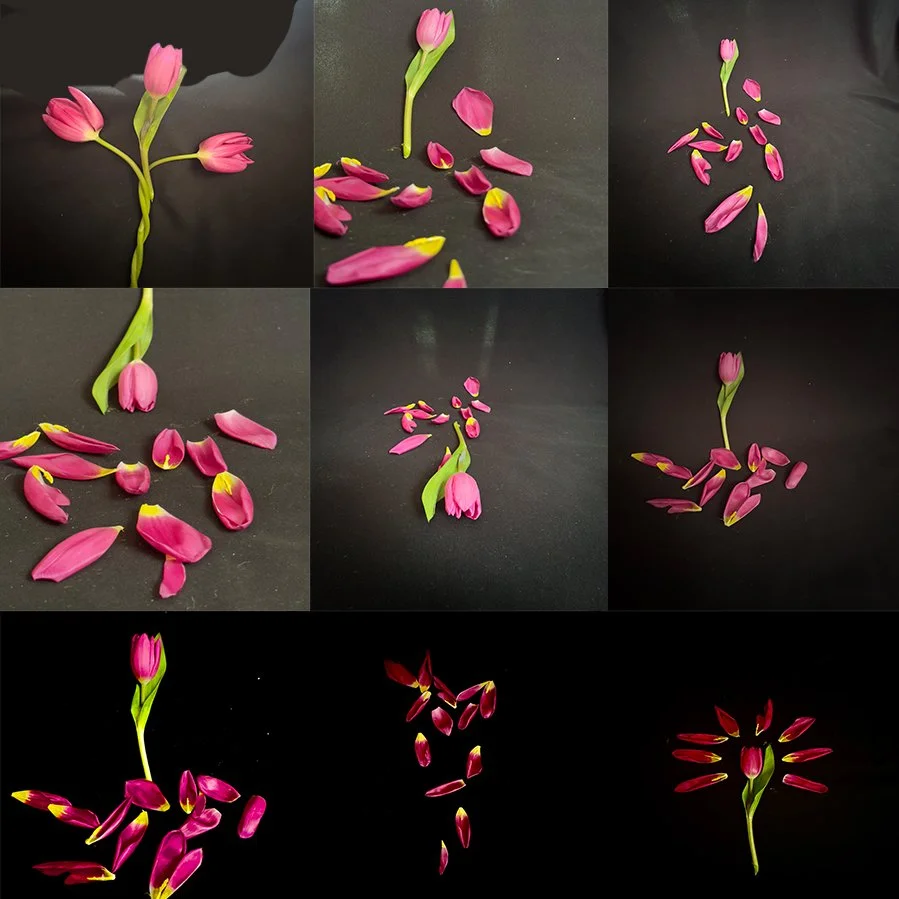 Starshine, a Radiant Gesture